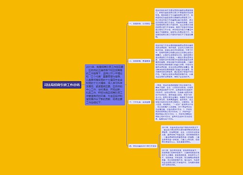 司法局招商引资工作总结