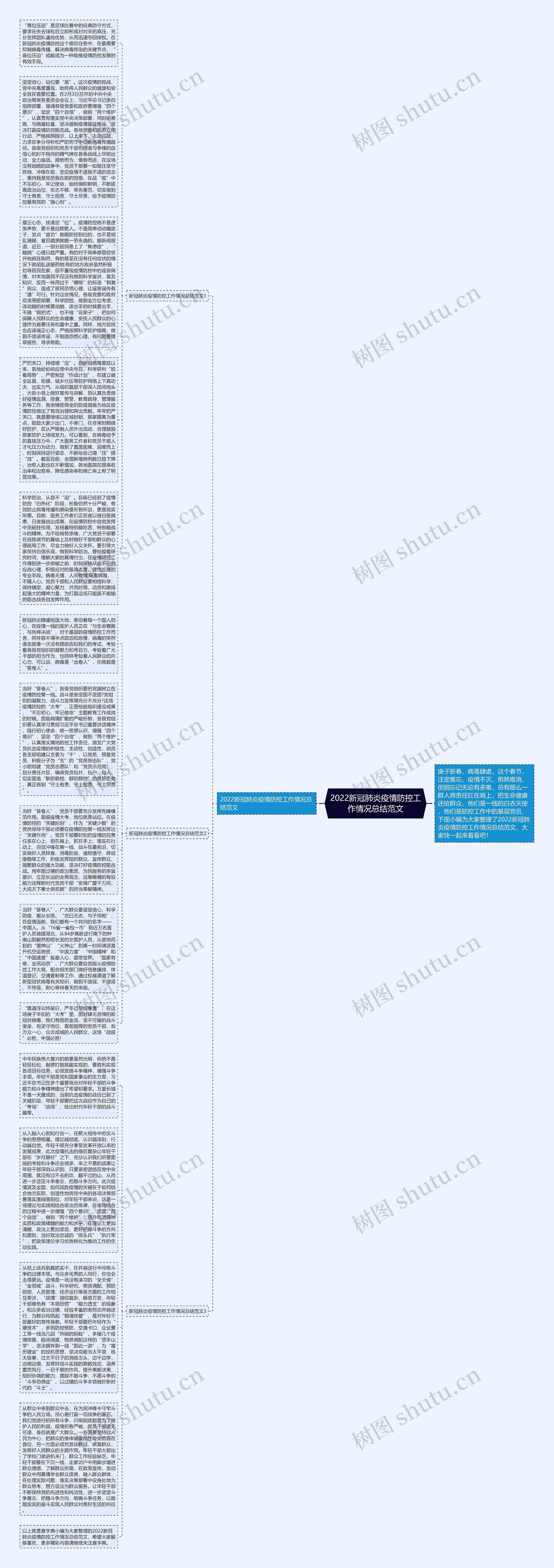 2022新冠肺炎疫情防控工作情况总结范文思维导图