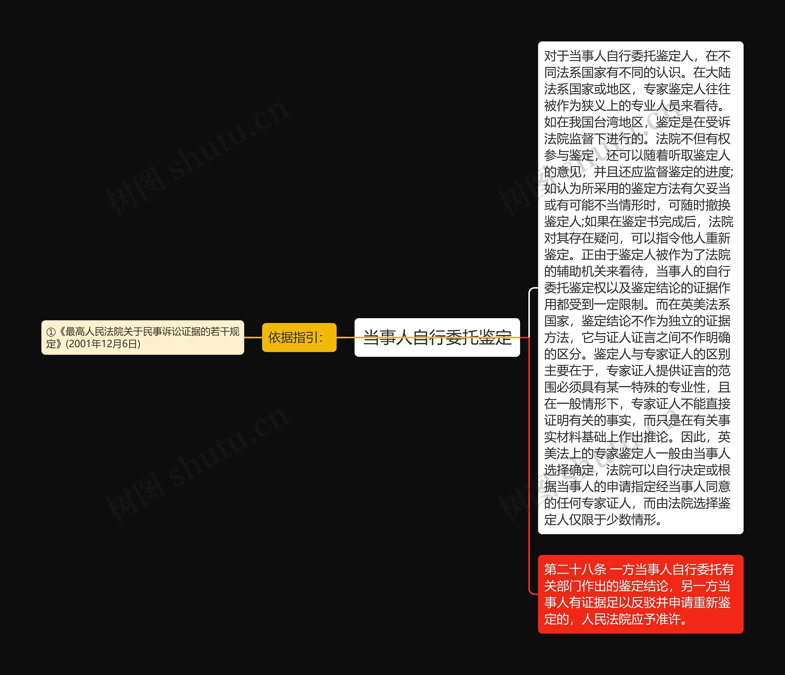 当事人自行委托鉴定思维导图