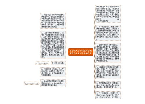 小学深入学习实践科学发展观民主生活会实施方案