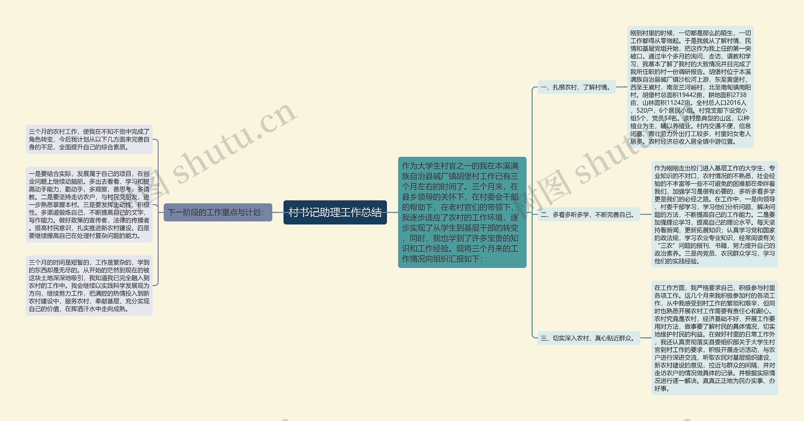 村书记助理工作总结思维导图