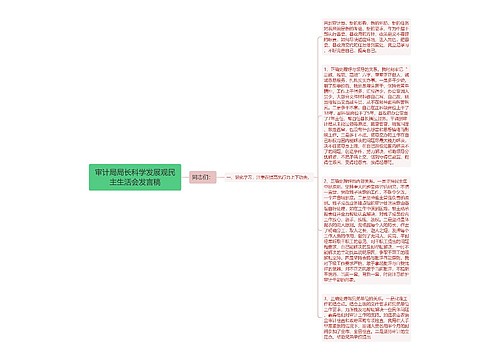 审计局局长科学发展观民主生活会发言稿