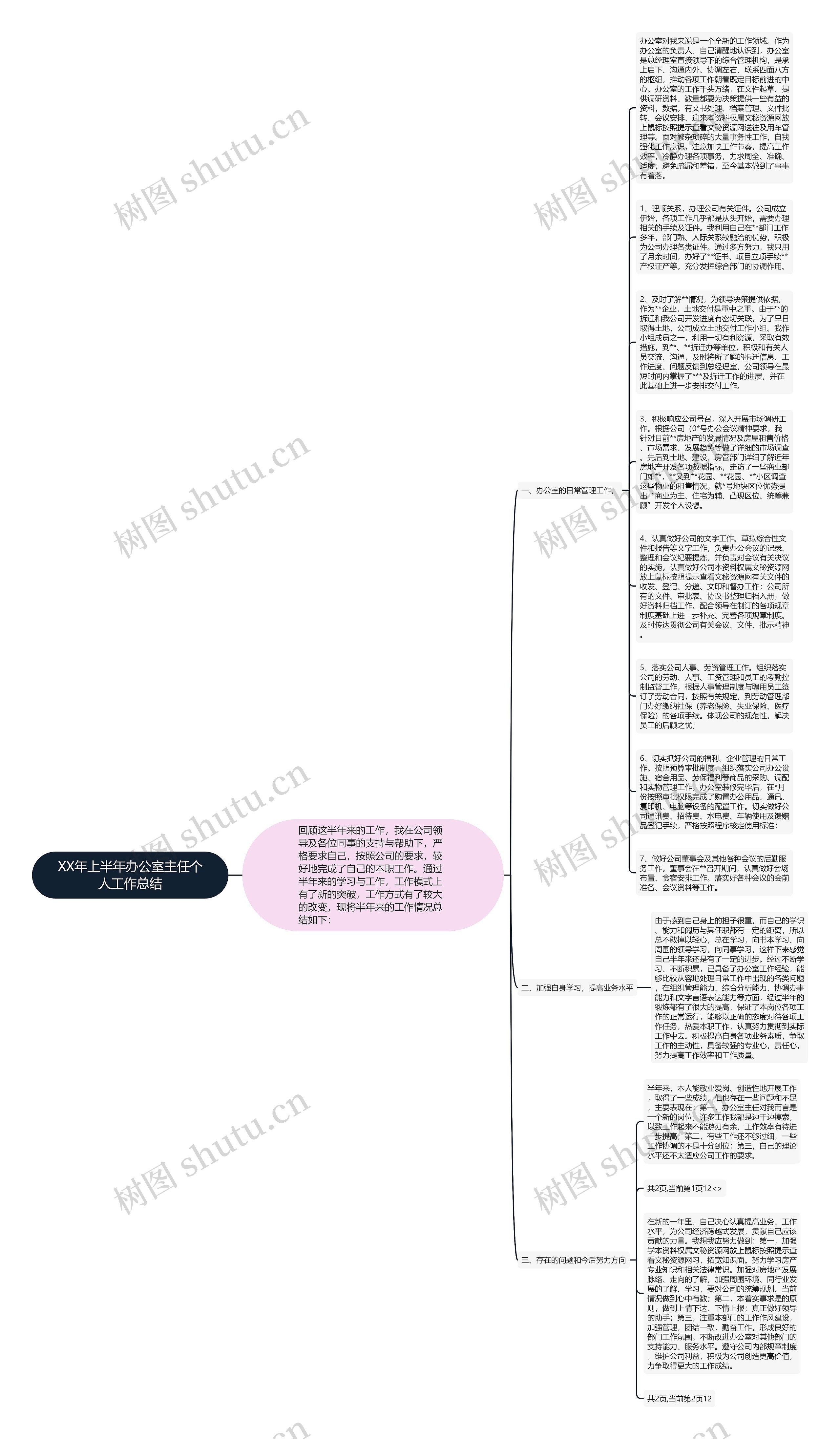 XX年上半年办公室主任个人工作总结思维导图