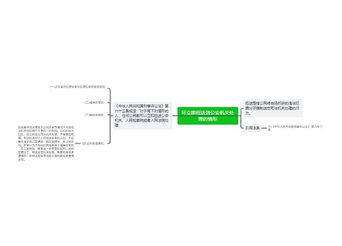 可立即扭送到公安机关处理的情形