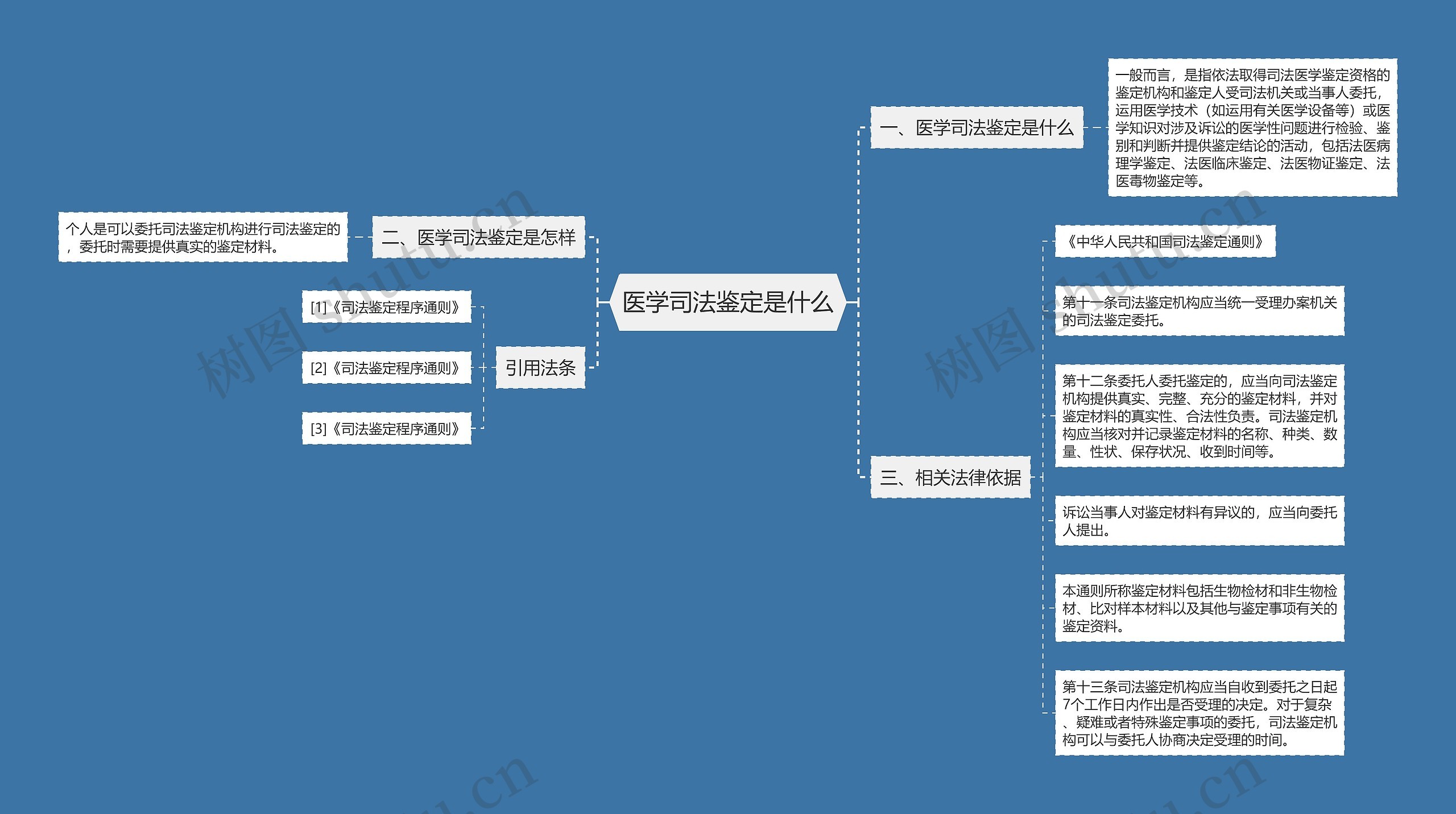 医学司法鉴定是什么思维导图