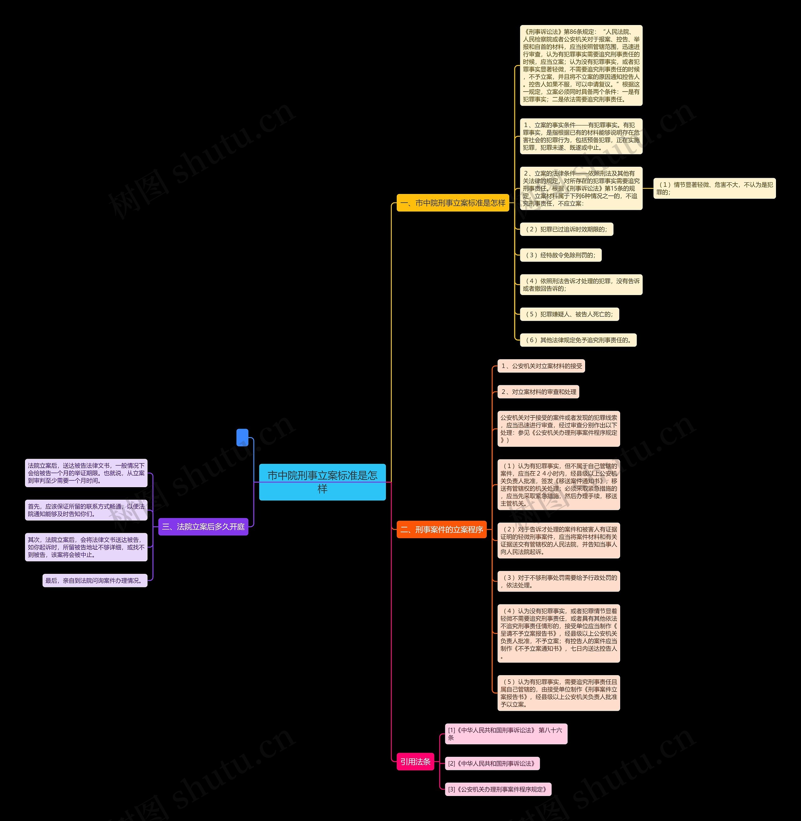 市中院刑事立案标准是怎样思维导图