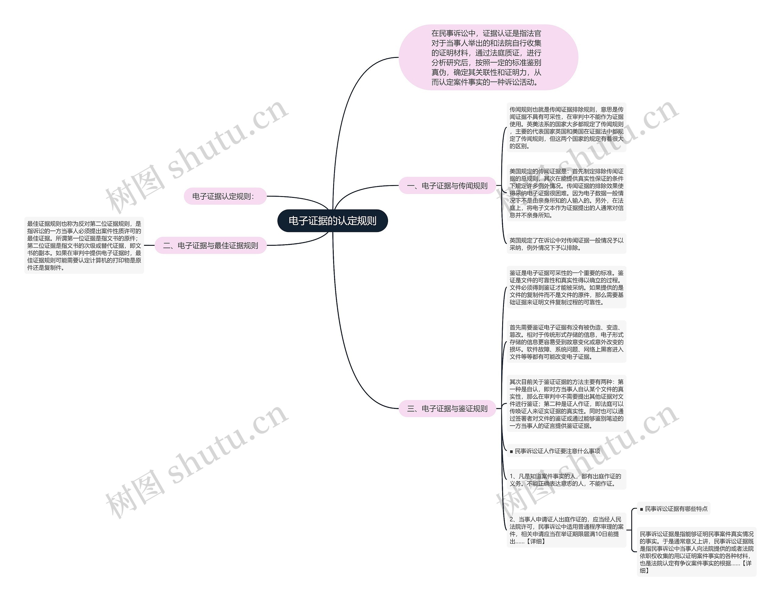 电子证据的认定规则思维导图