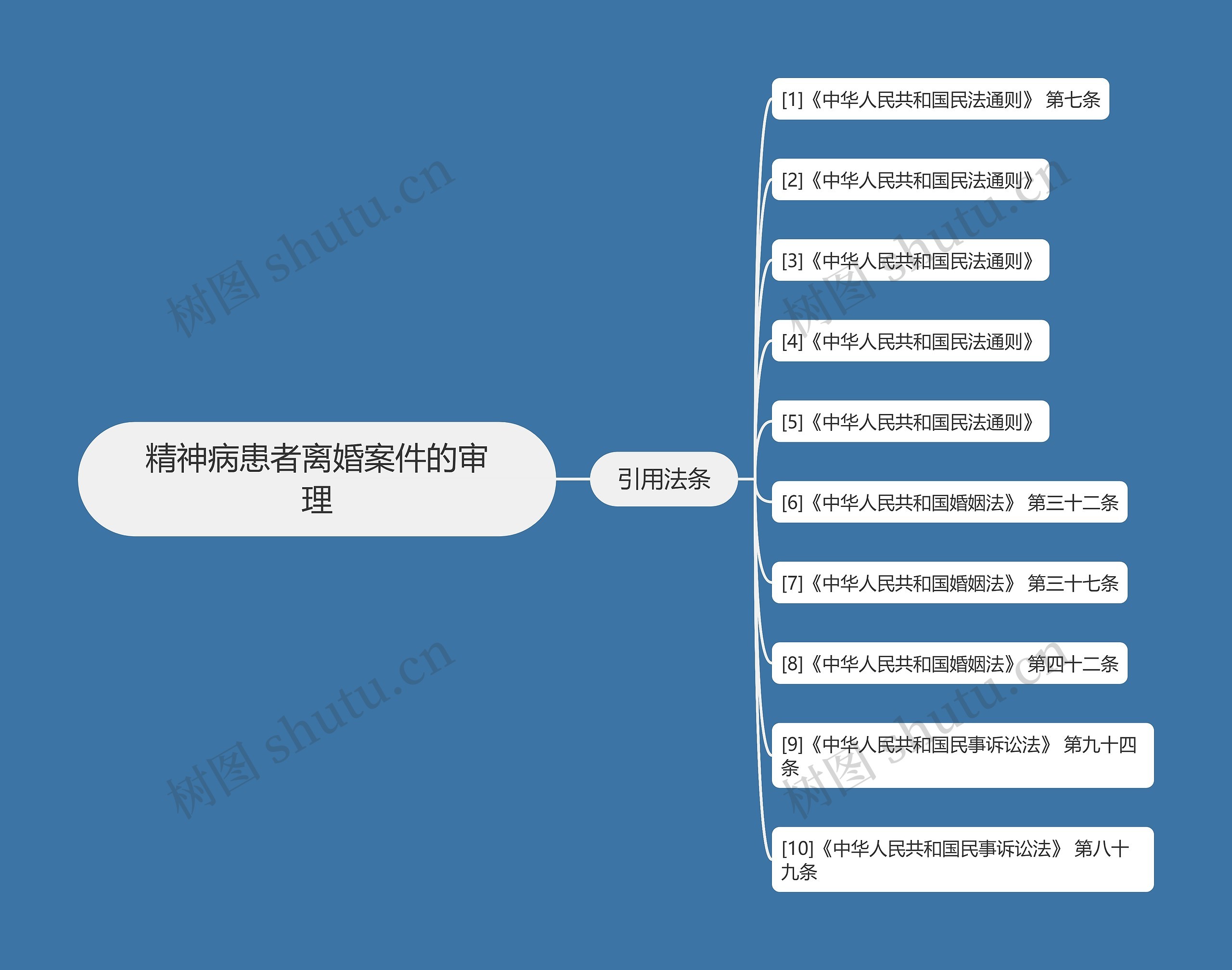 精神病患者离婚案件的审理思维导图