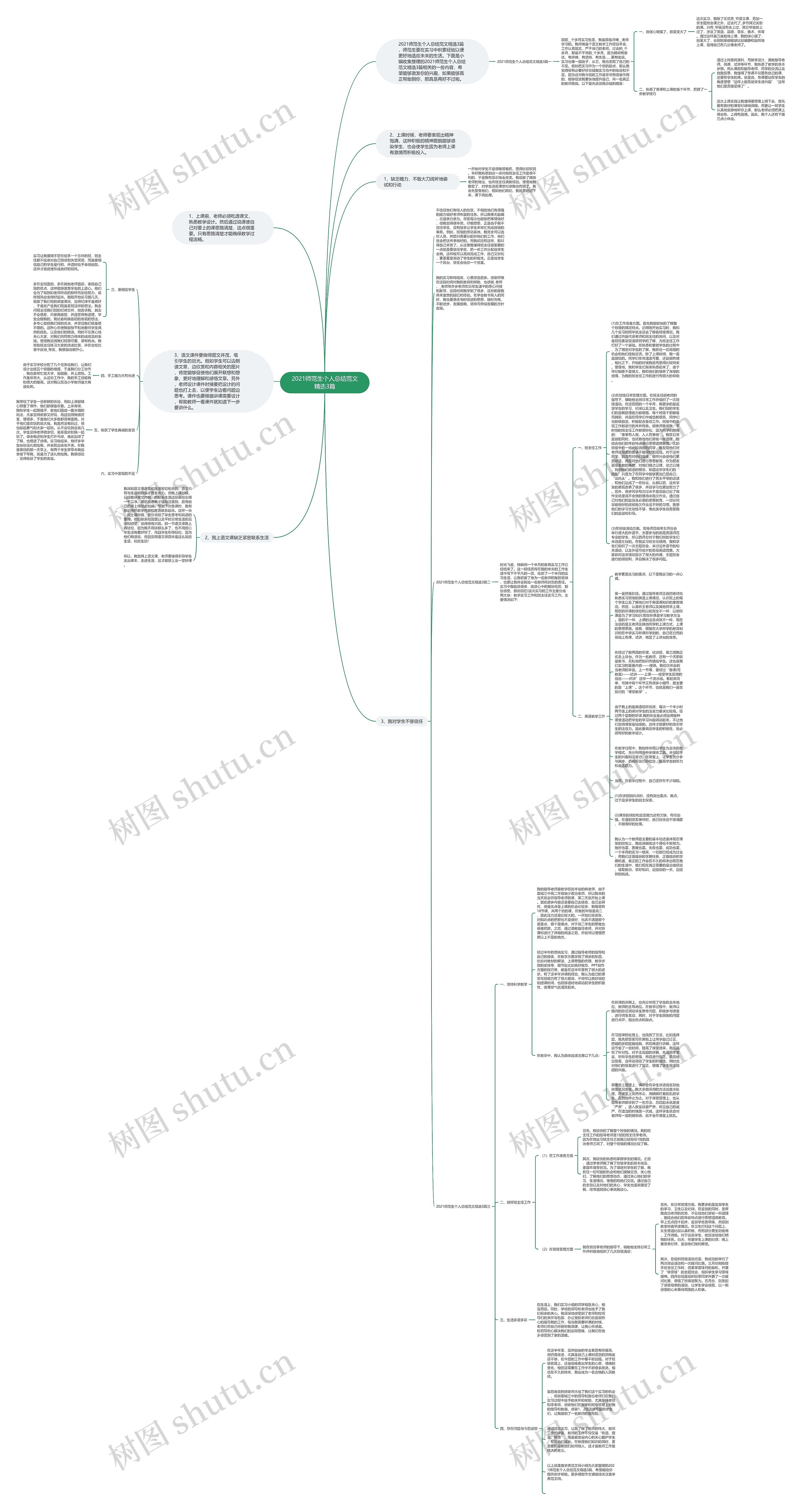 2021师范生个人总结范文精选3篇思维导图