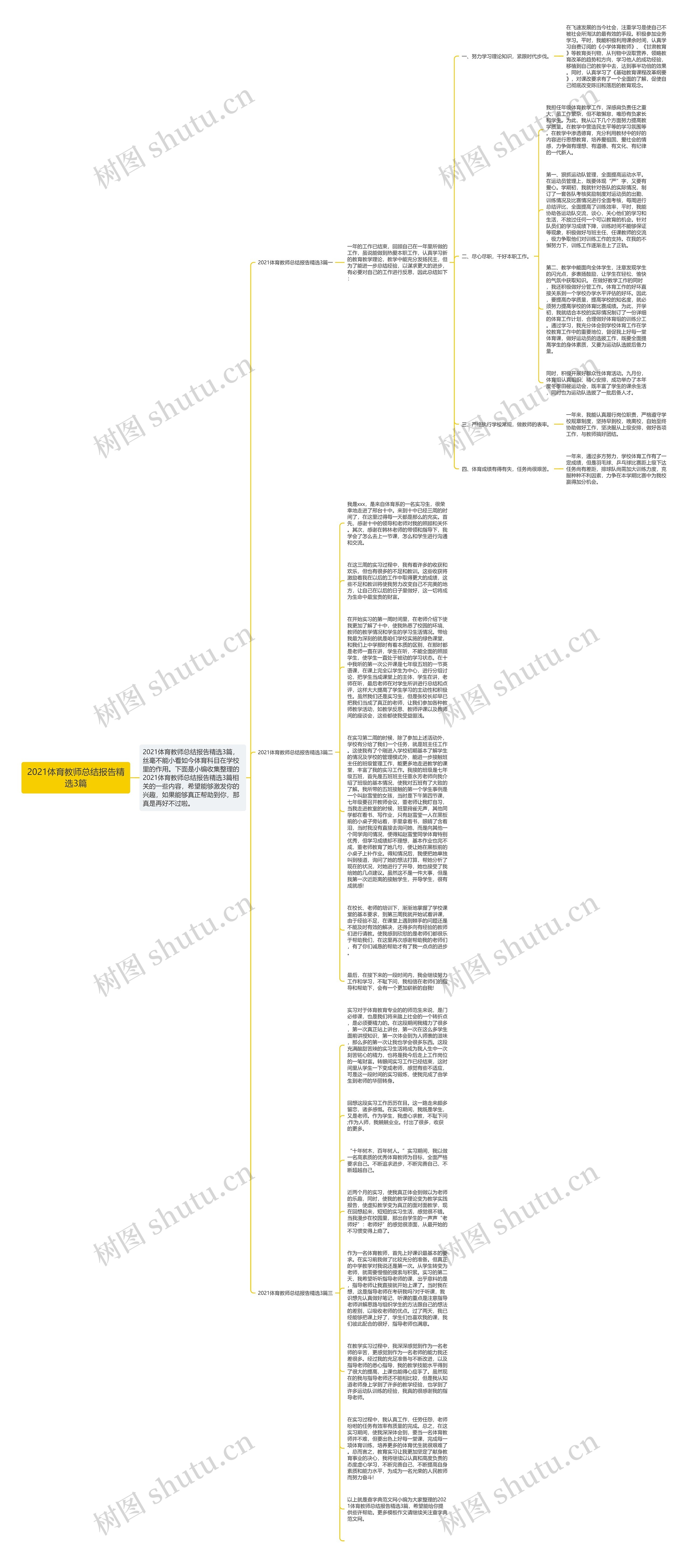 2021体育教师总结报告精选3篇思维导图