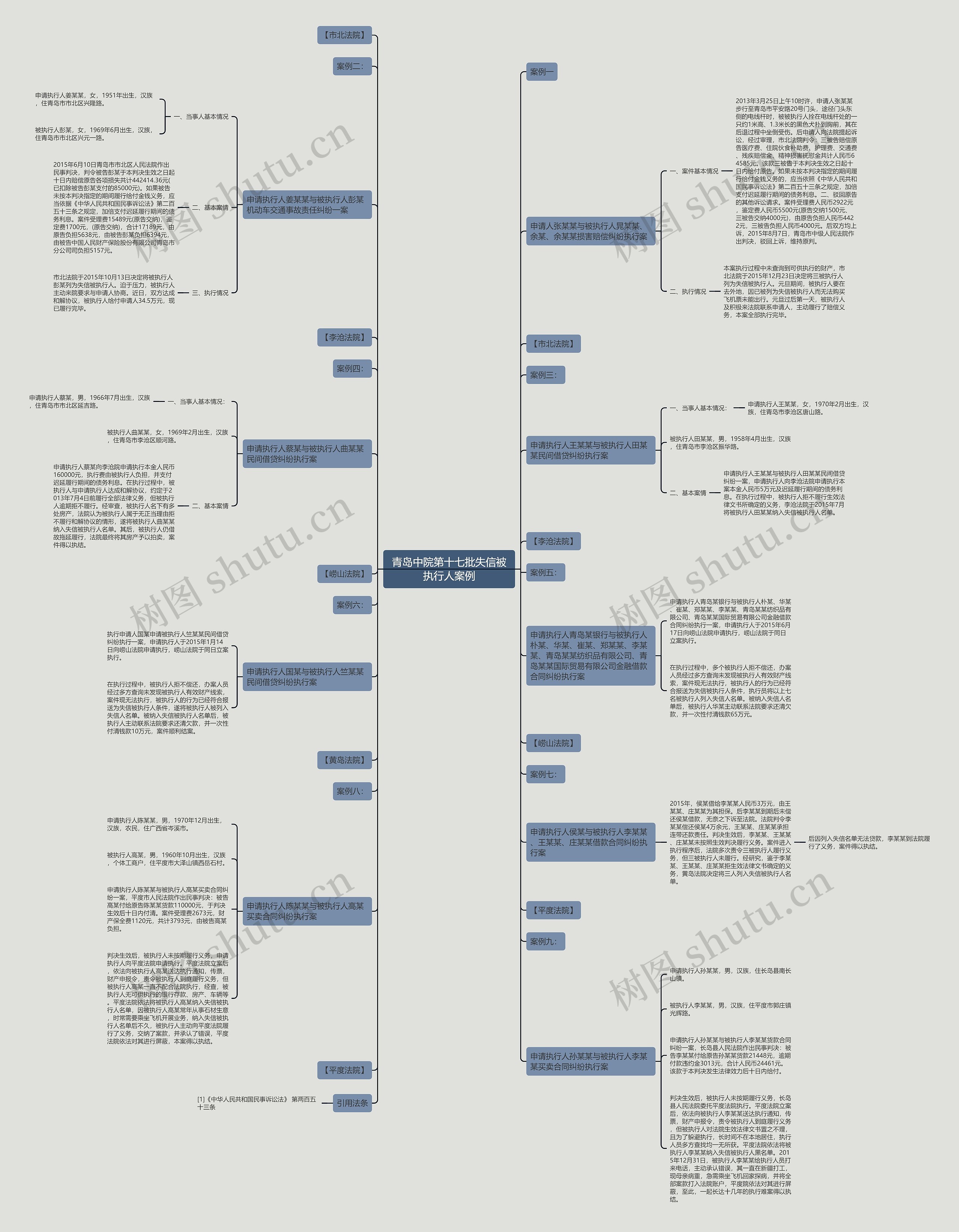 青岛中院第十七批失信被执行人案例思维导图