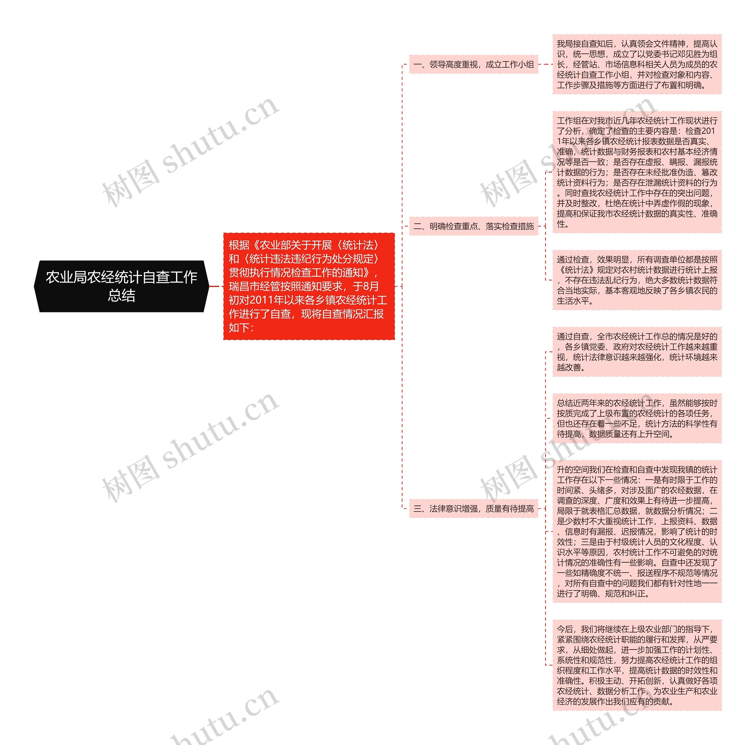 农业局农经统计自查工作总结思维导图