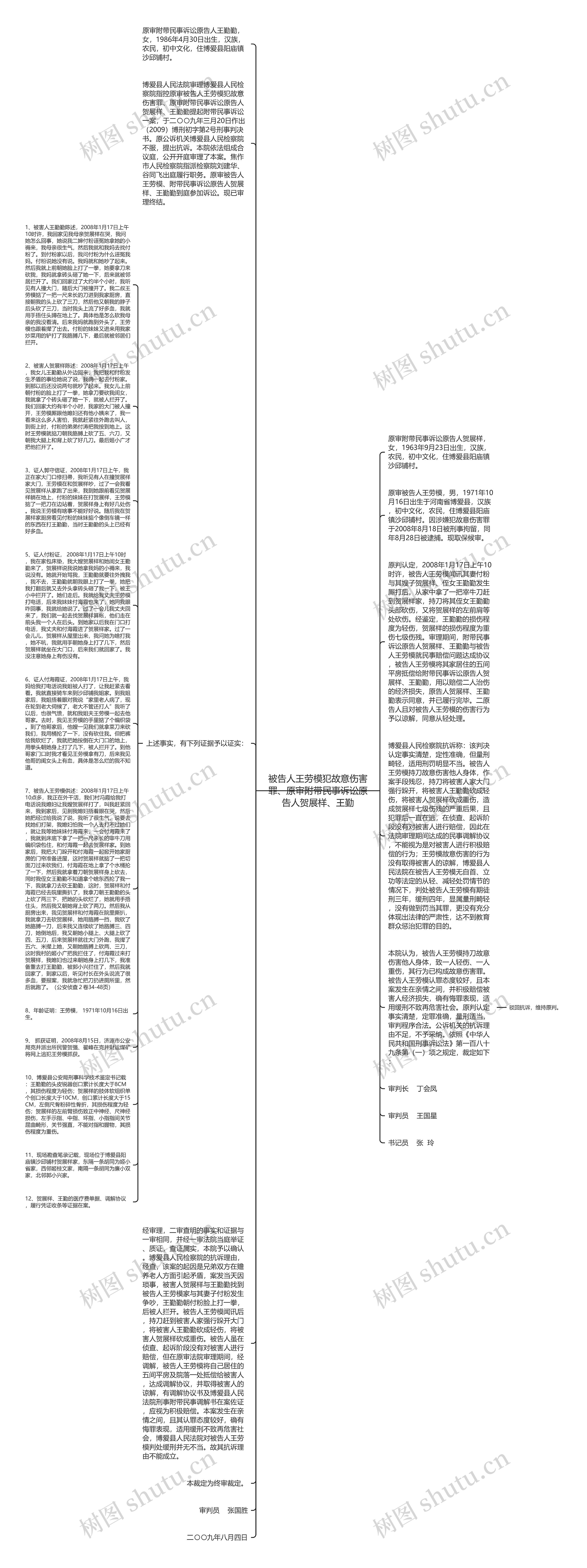 被告人王劳模犯故意伤害罪、原审附带民事诉讼原告人贺展样、王勤思维导图