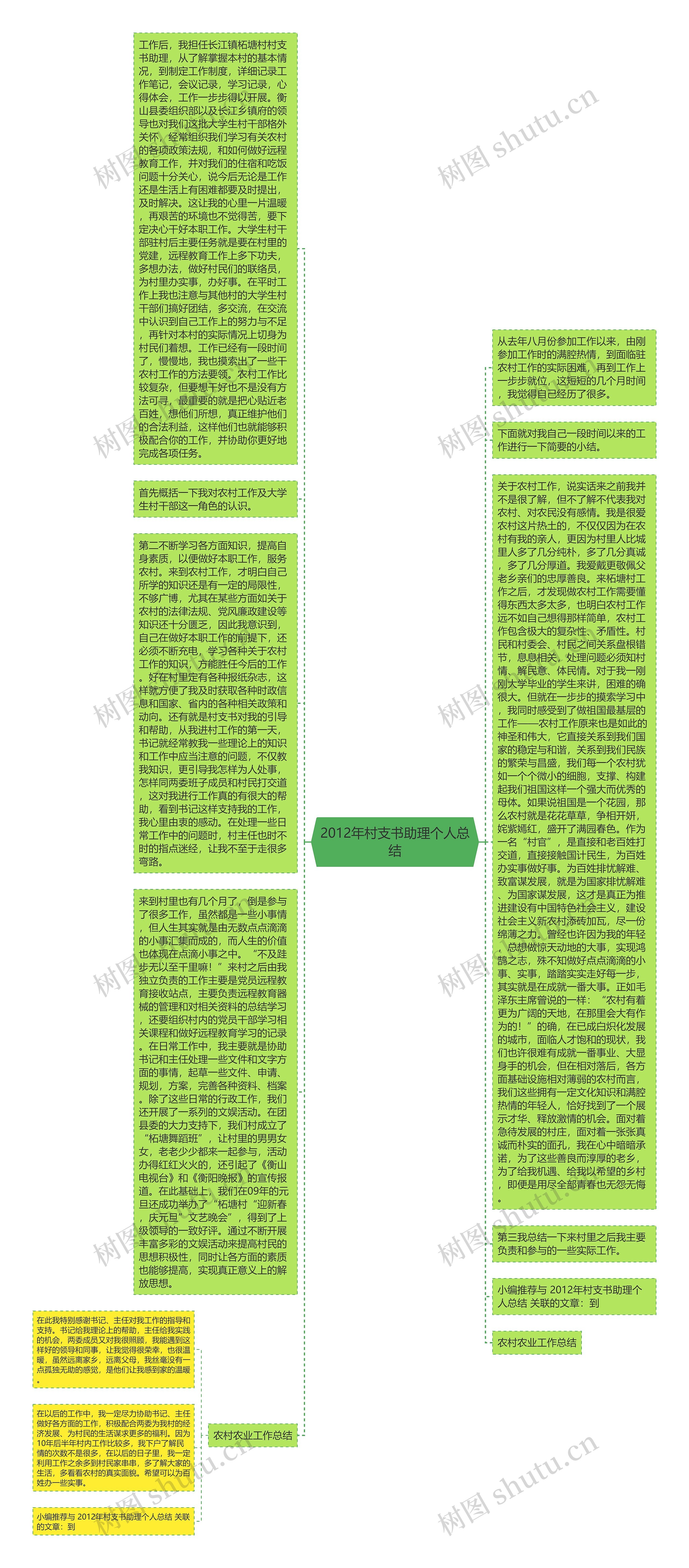 2012年村支书助理个人总结思维导图