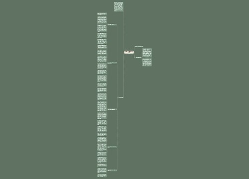 经贸局科学发展观整改落实方案