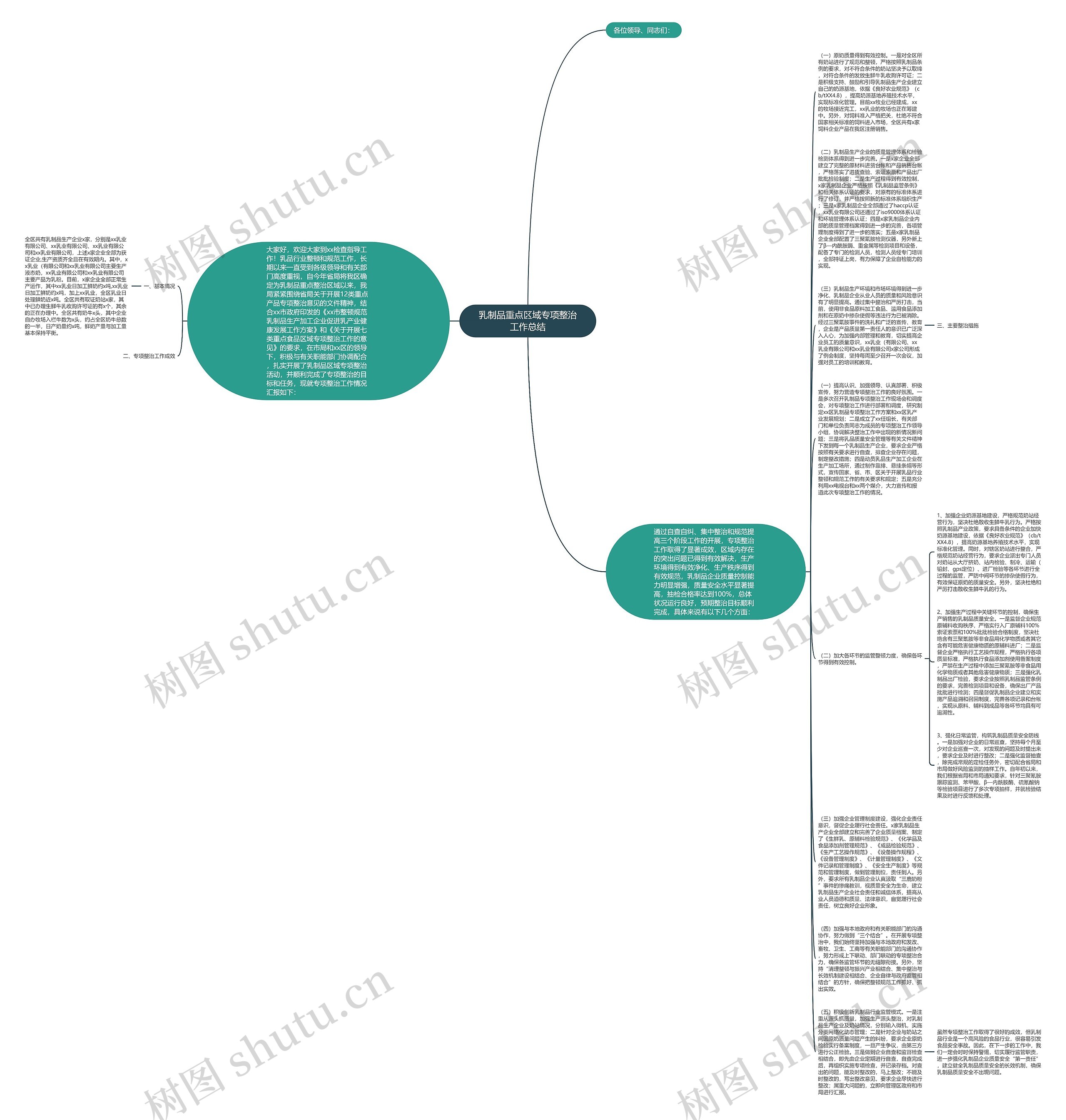 乳制品重点区域专项整治工作总结思维导图