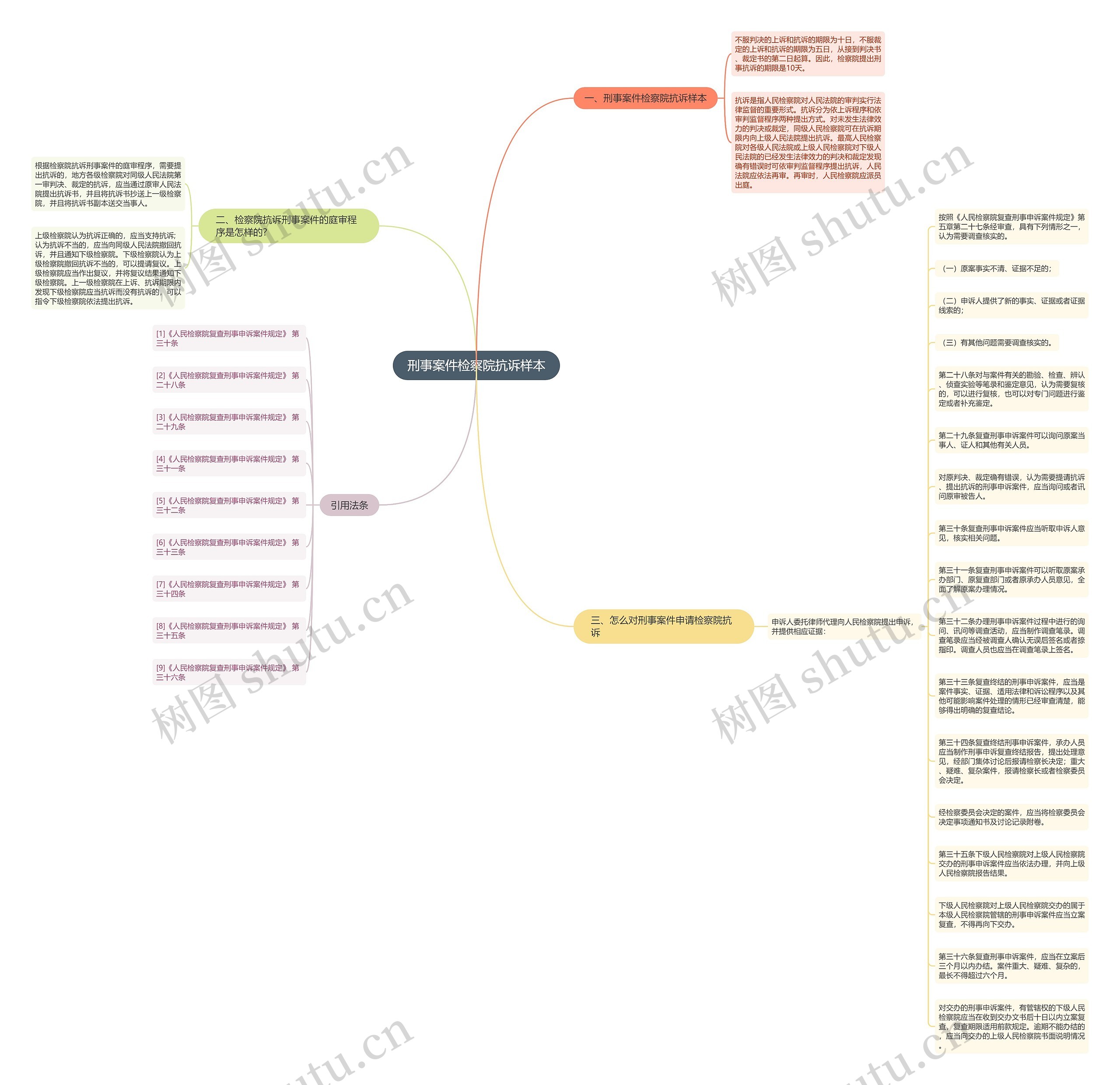 刑事案件检察院抗诉样本思维导图