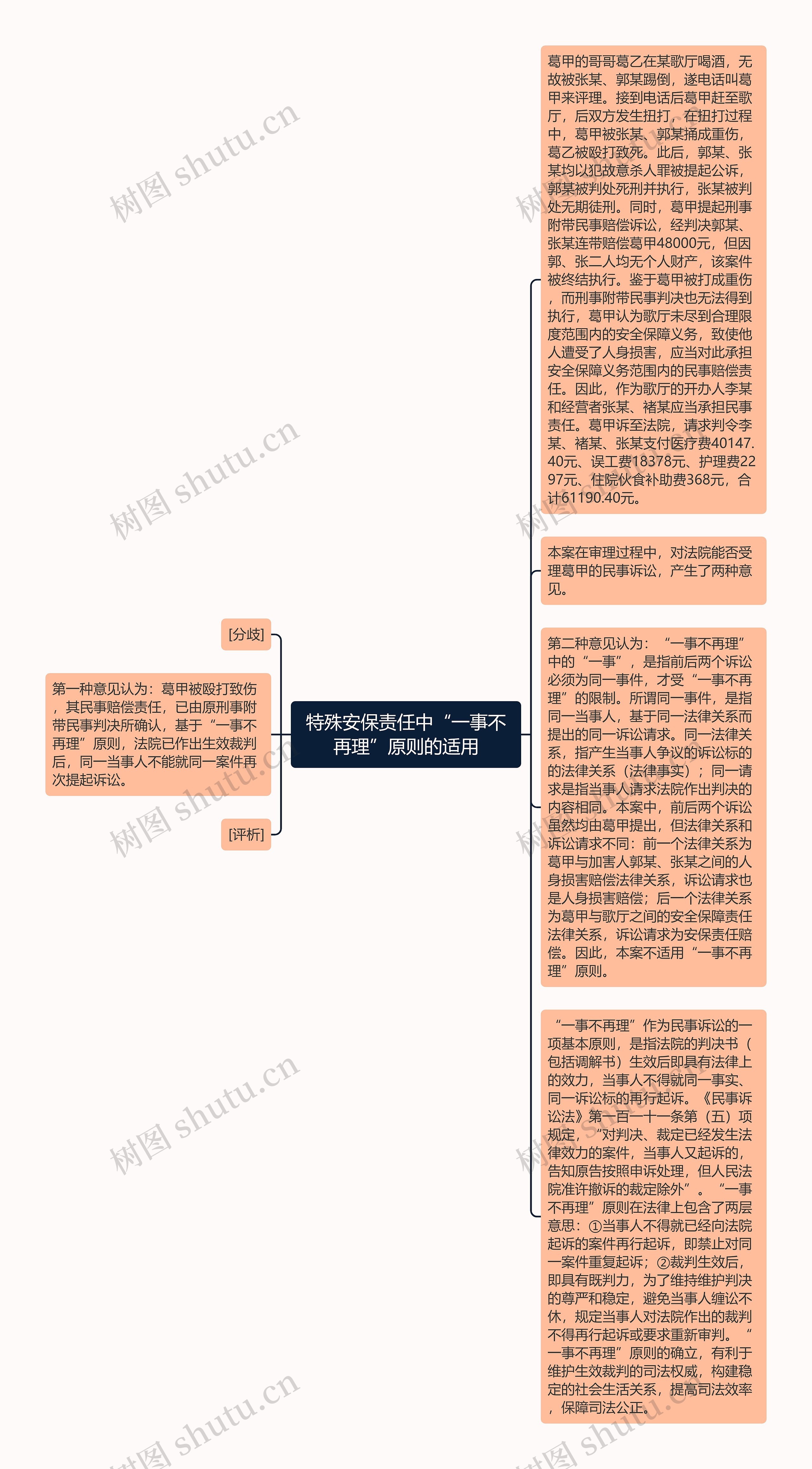 特殊安保责任中“一事不再理”原则的适用思维导图