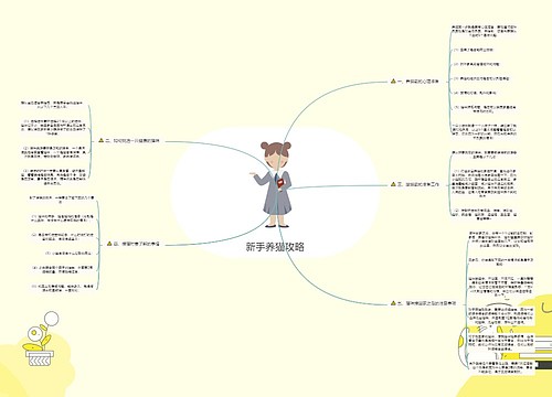 新手养猫攻略