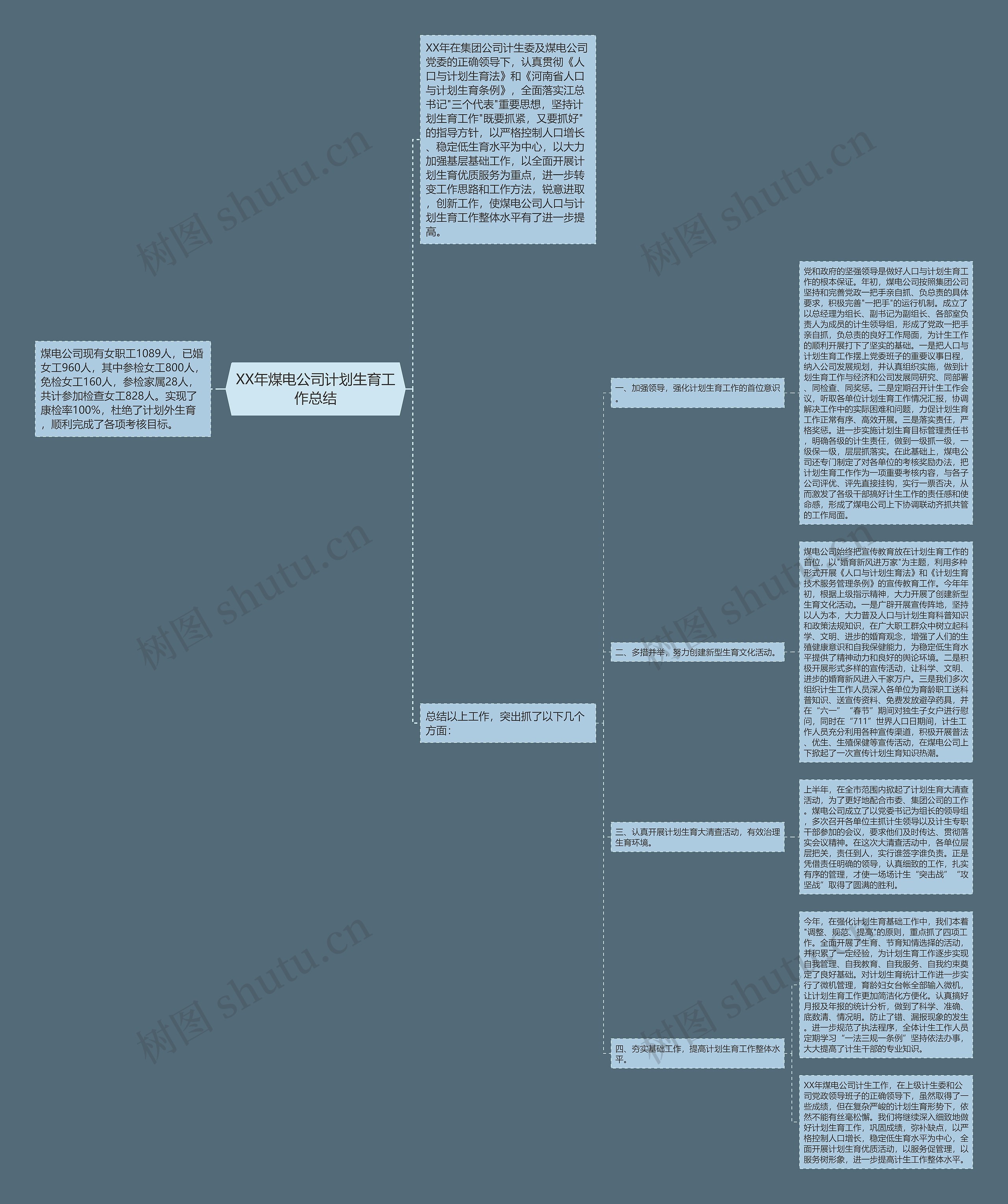 XX年煤电公司计划生育工作总结思维导图