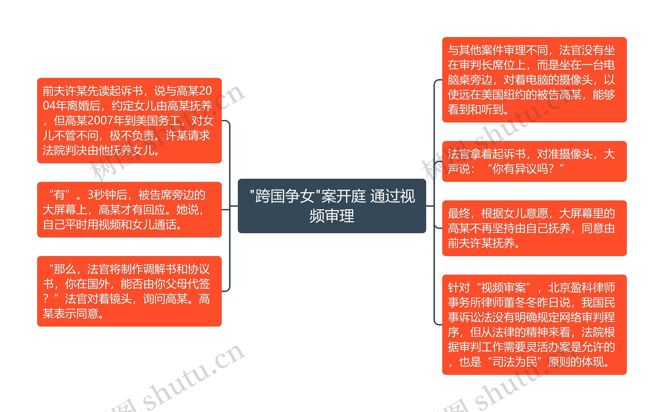 "跨国争女"案开庭 通过视频审理思维导图