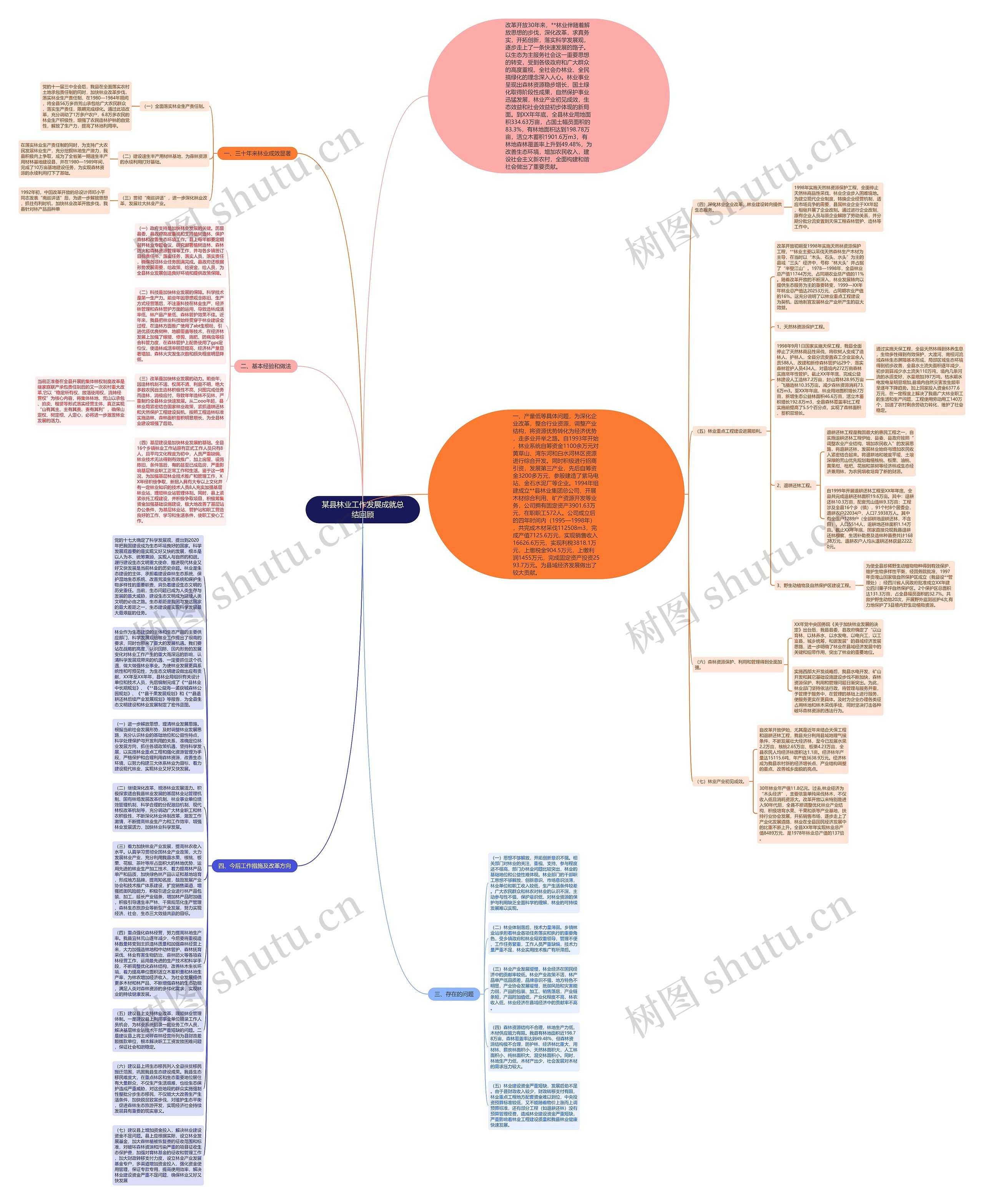 某县林业工作发展成就总结回顾思维导图