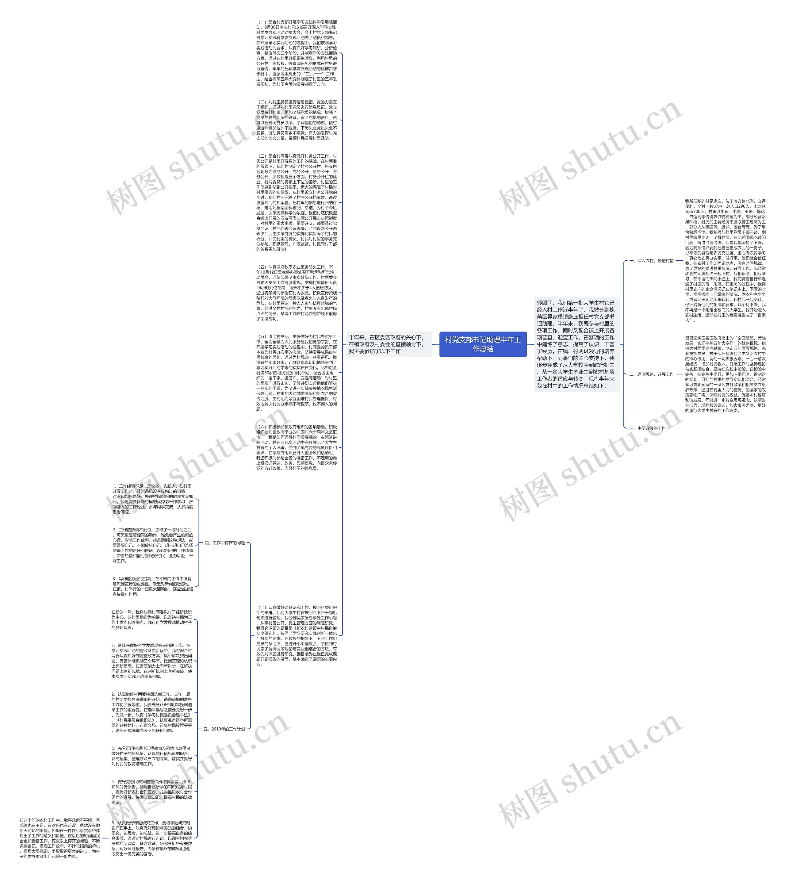 村党支部书记助理半年工作总结思维导图
