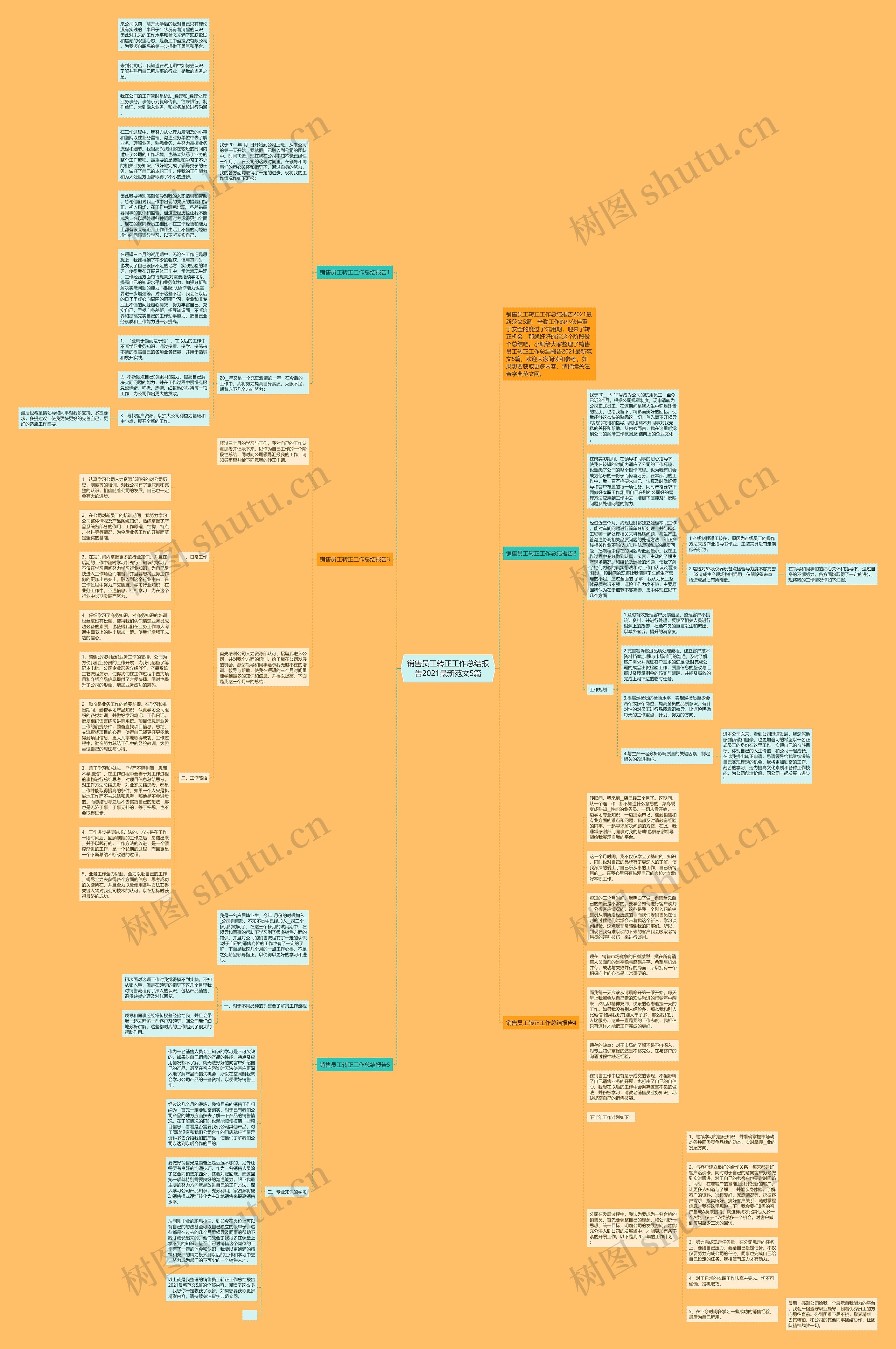 销售员工转正工作总结报告2021最新范文5篇思维导图