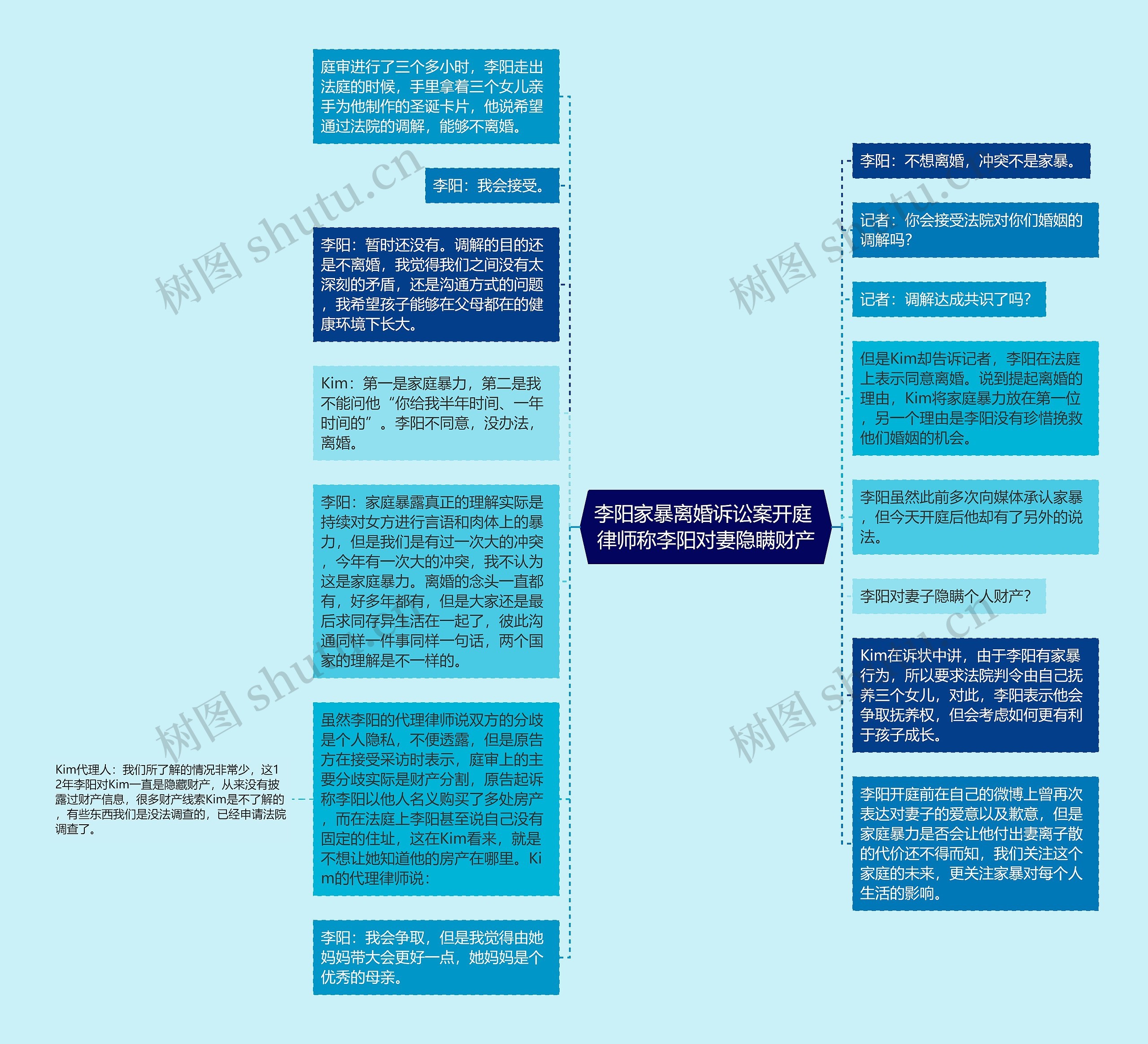 李阳家暴离婚诉讼案开庭 律师称李阳对妻隐瞒财产思维导图