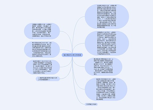 审计局2012年工作总结