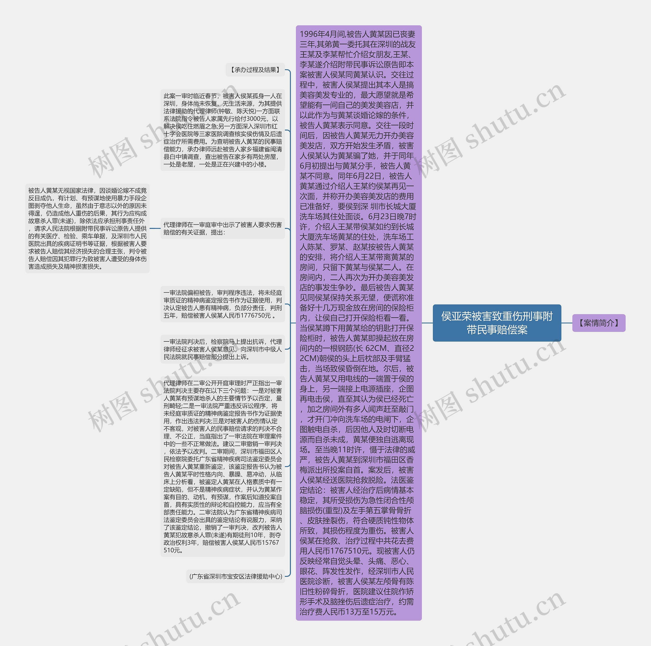 侯亚荣被害致重伤刑事附带民事赔偿案思维导图