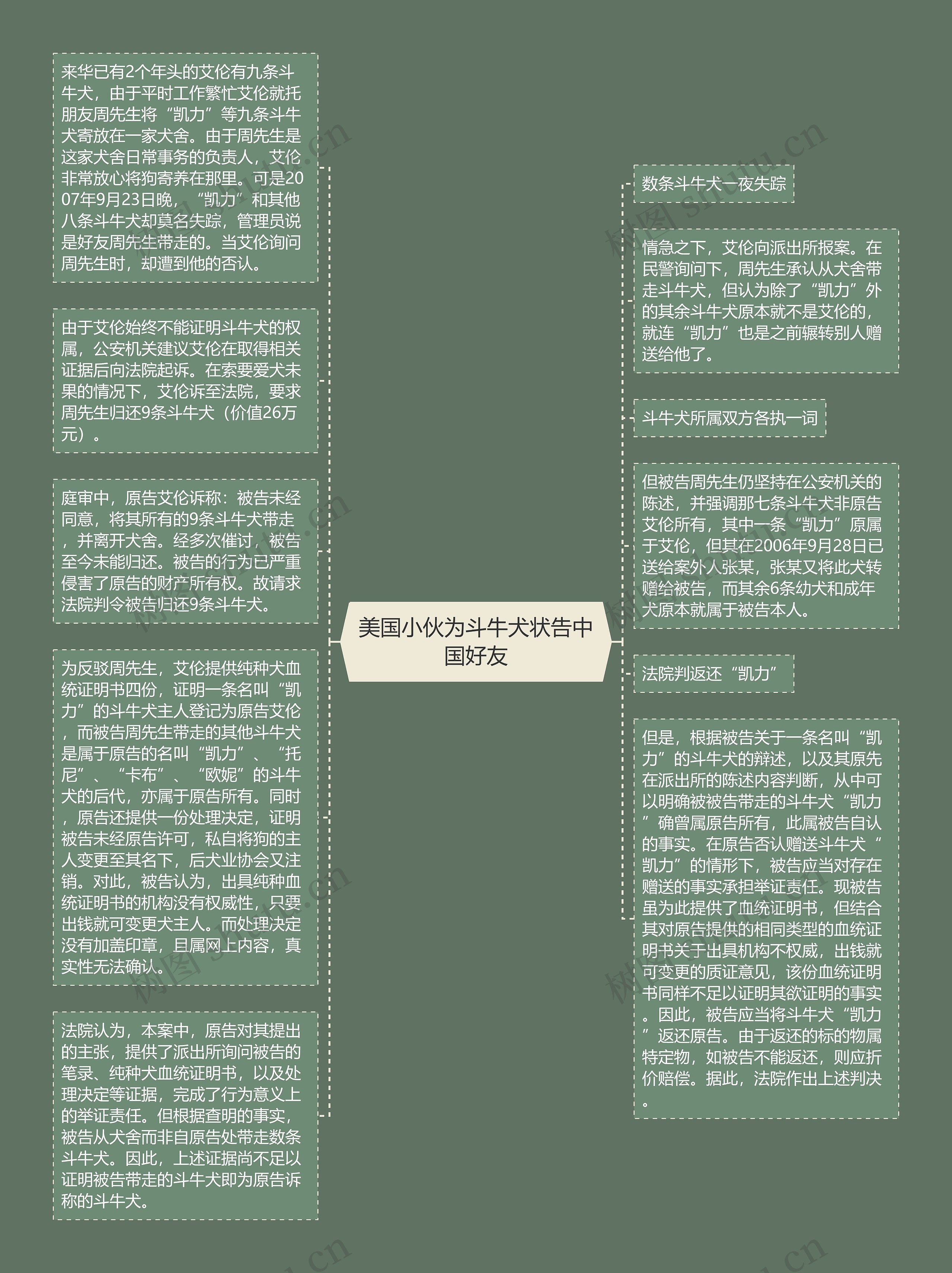 美国小伙为斗牛犬状告中国好友