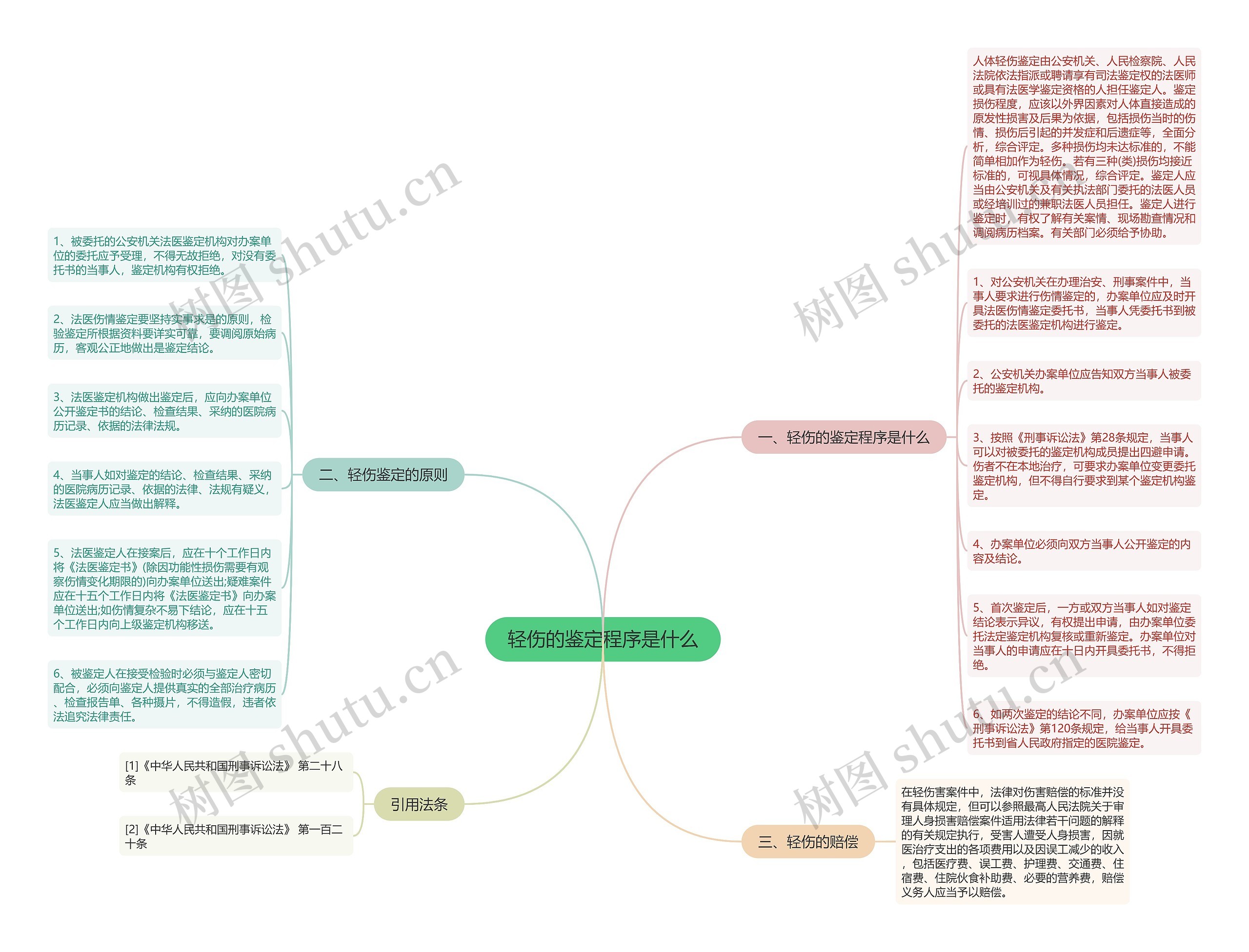 轻伤的鉴定程序是什么思维导图