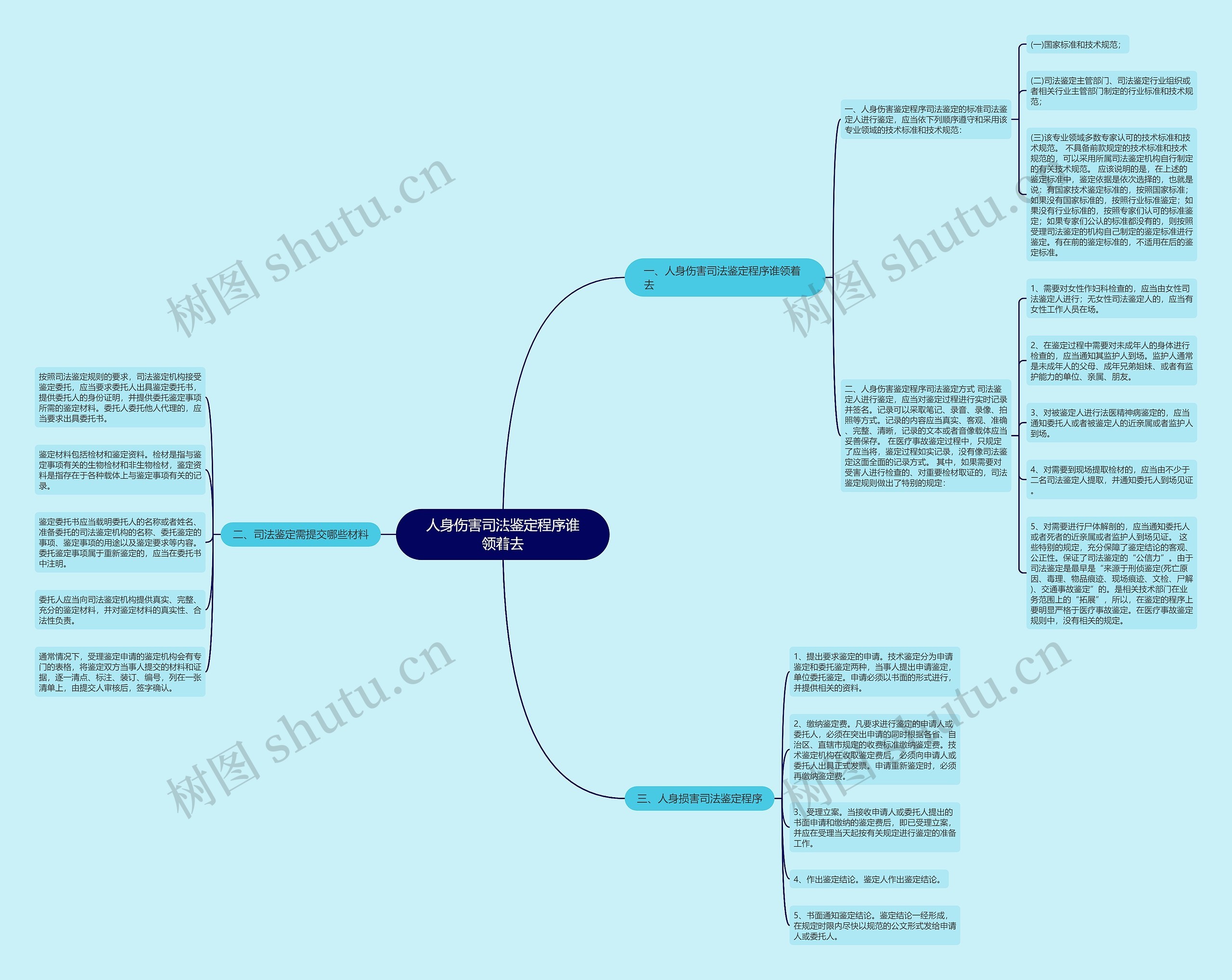 人身伤害司法鉴定程序谁领着去思维导图