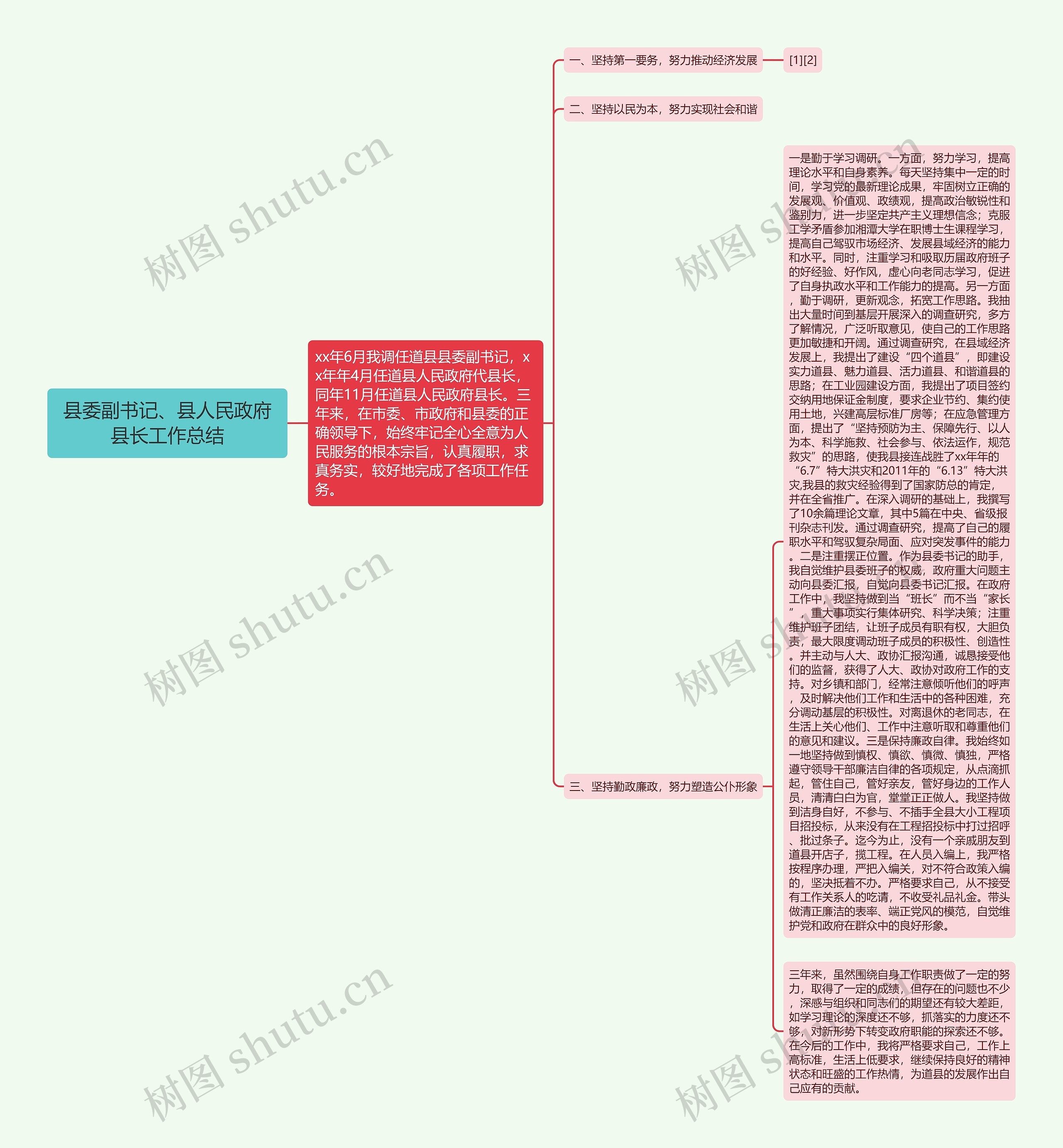 县委副书记、县人民政府县长工作总结思维导图