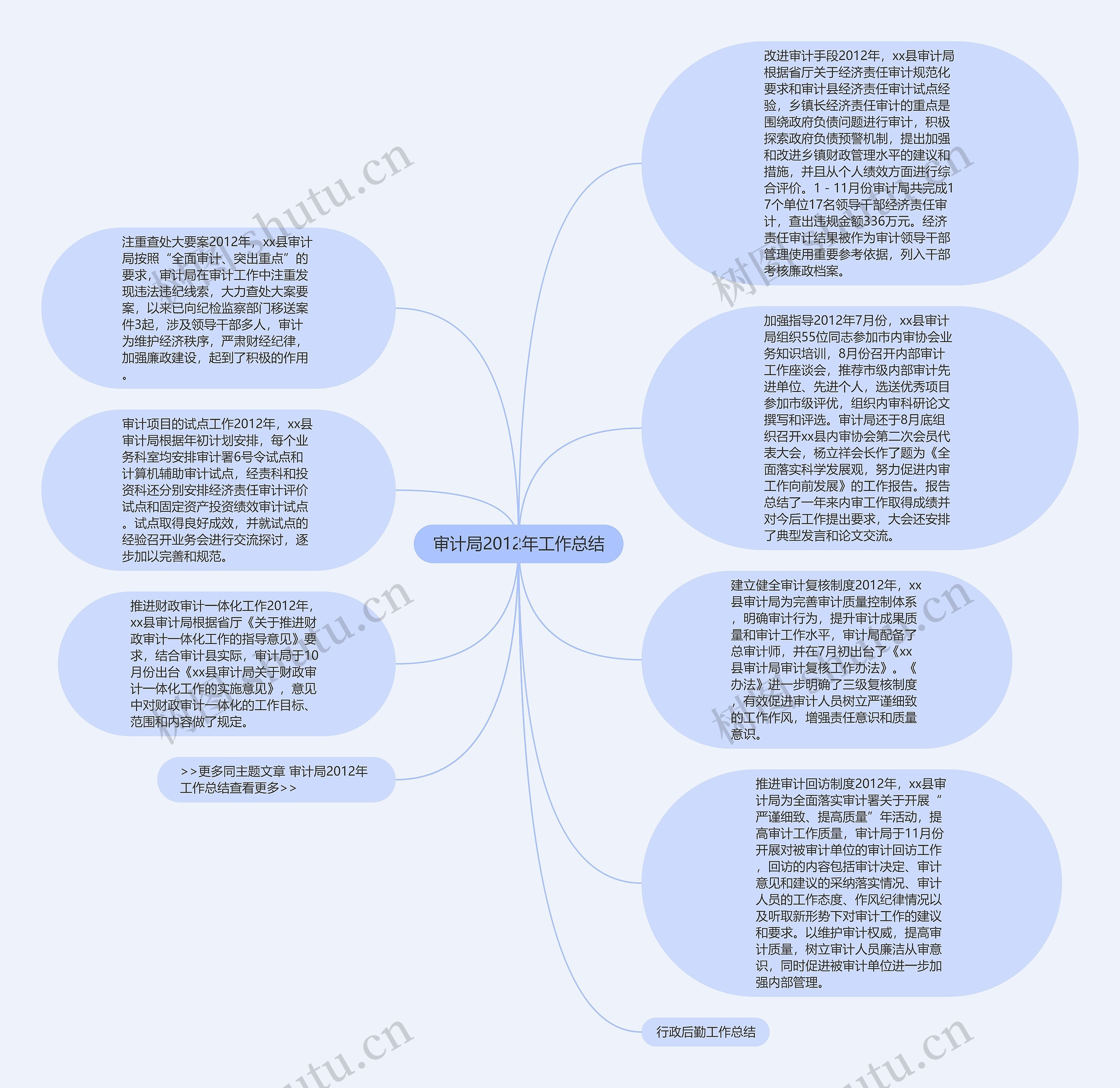 审计局2012年工作总结