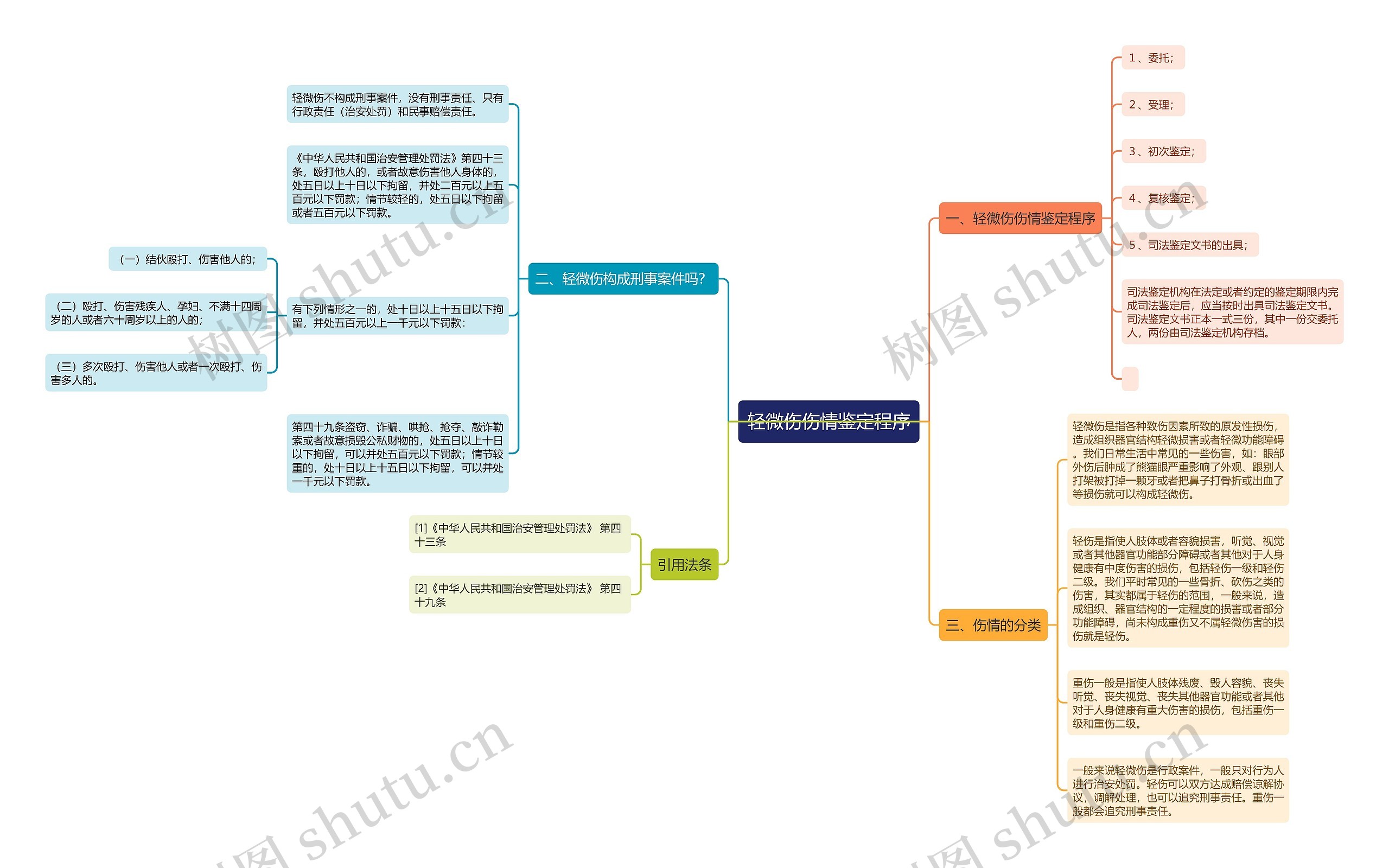 轻微伤伤情鉴定程序思维导图