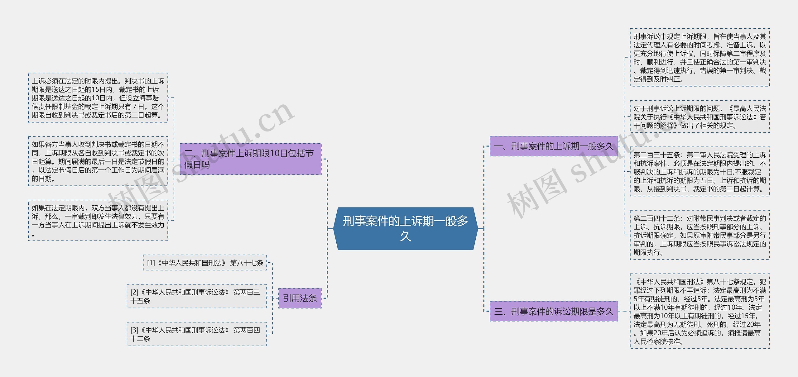 刑事案件的上诉期一般多久思维导图