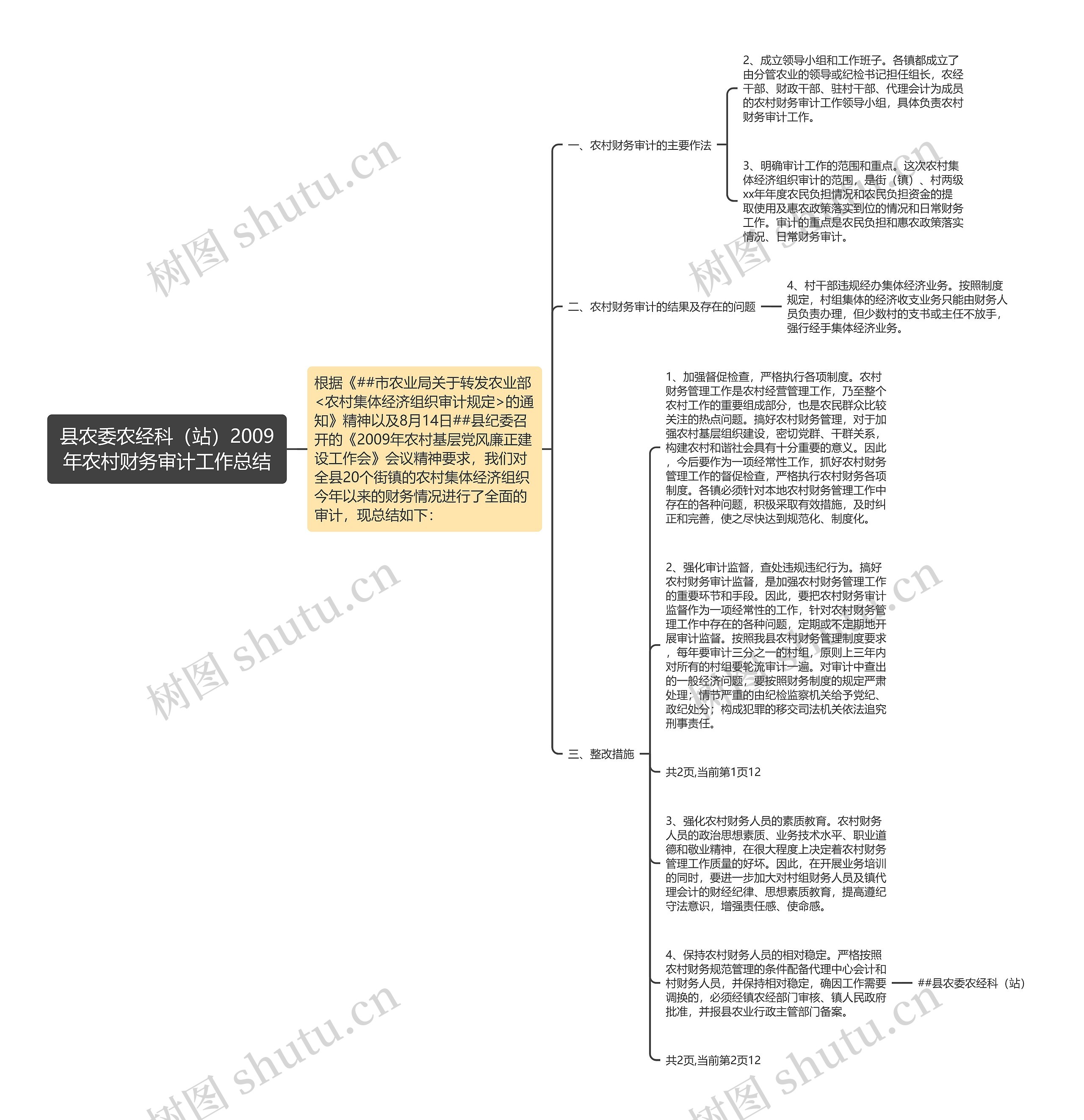 县农委农经科（站）2009年农村财务审计工作总结思维导图