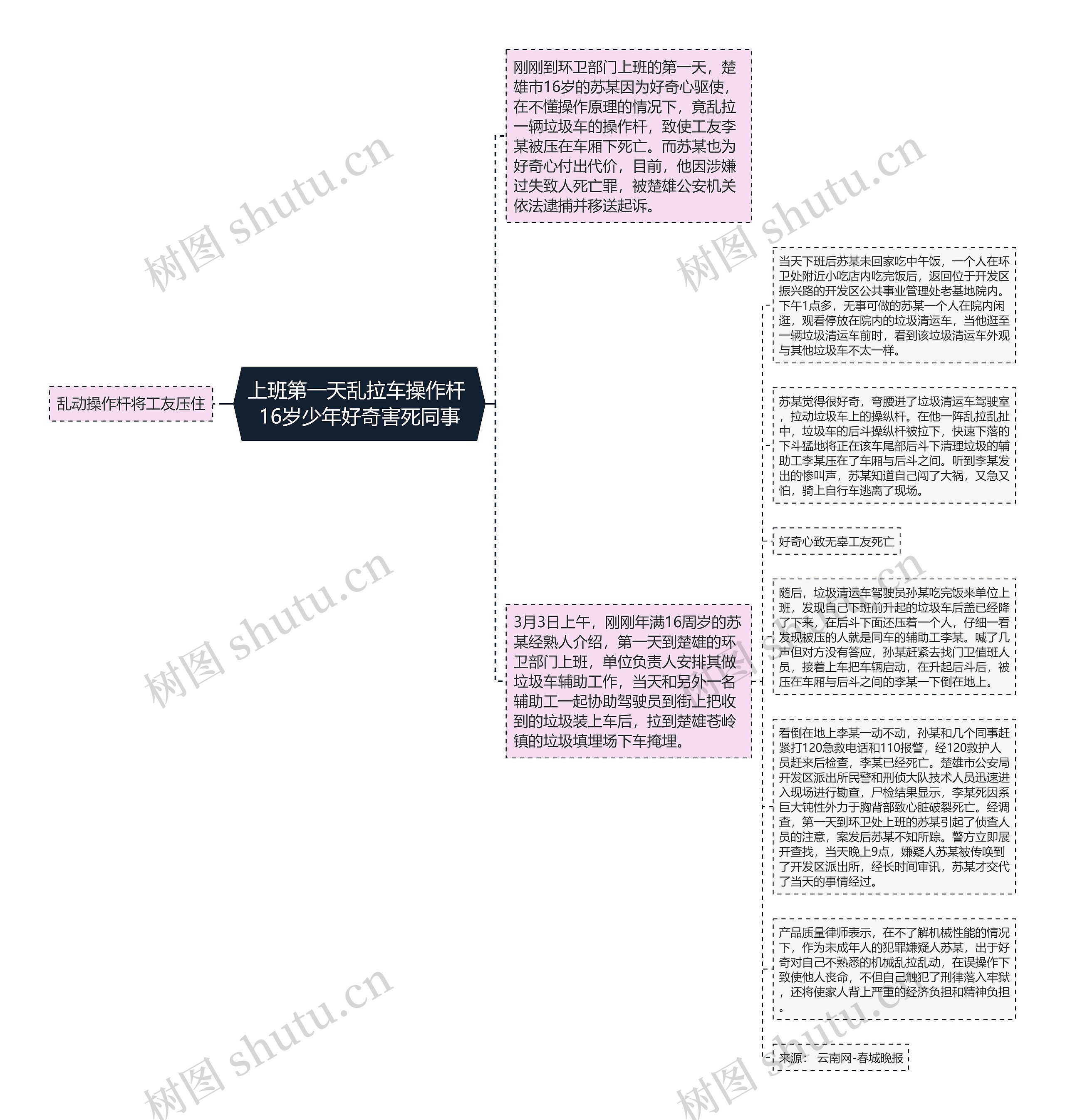 上班第一天乱拉车操作杆 16岁少年好奇害死同事思维导图