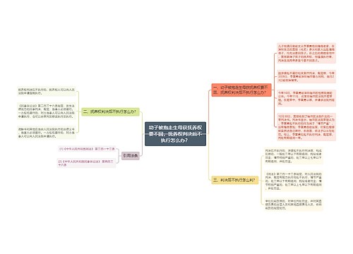 幼子被抱走生母获抚养权要不回，抚养权判决后不执行怎么办？