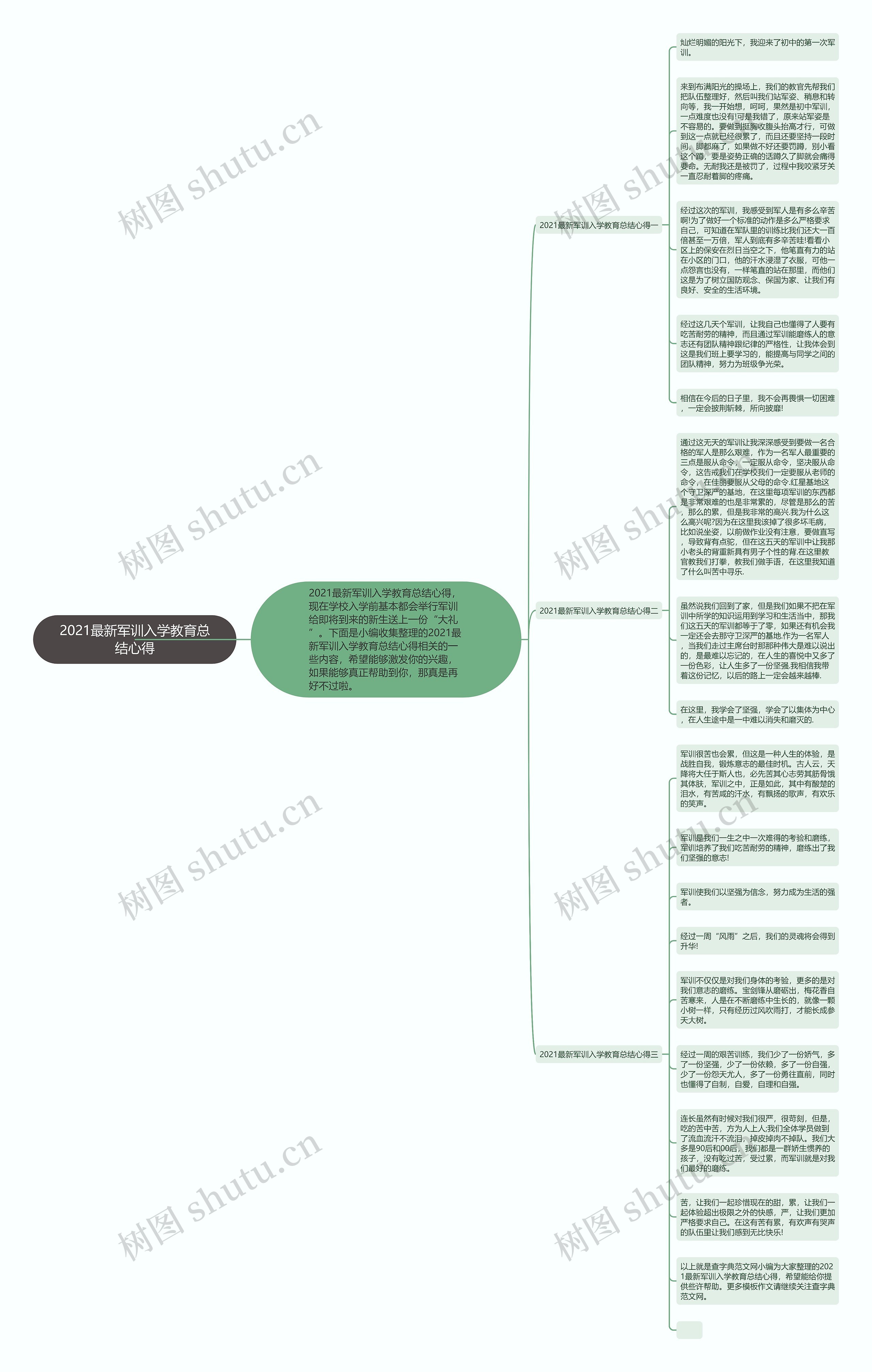 2021最新军训入学教育总结心得思维导图