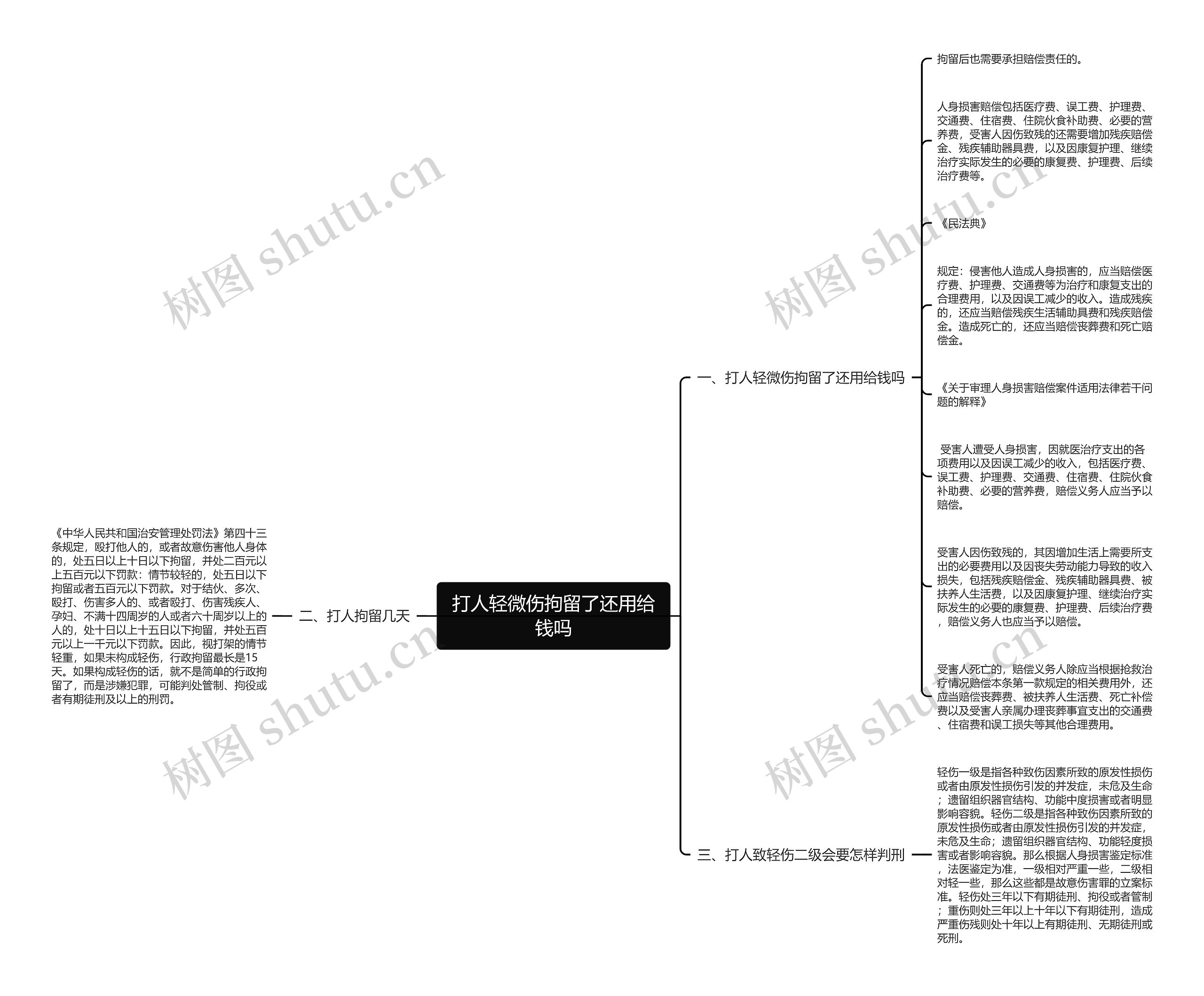 打人轻微伤拘留了还用给钱吗思维导图
