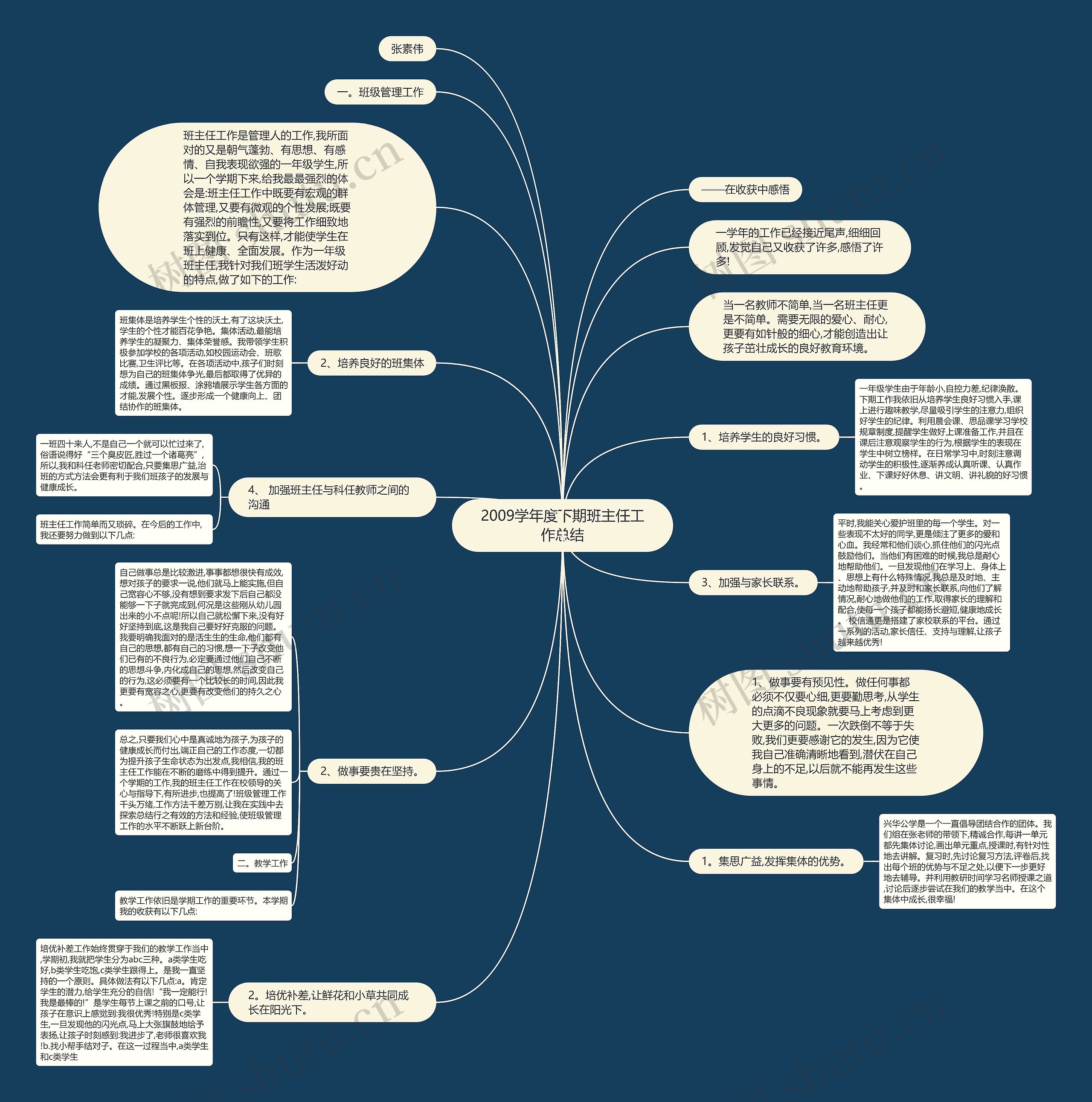 2009学年度下期班主任工作总结思维导图