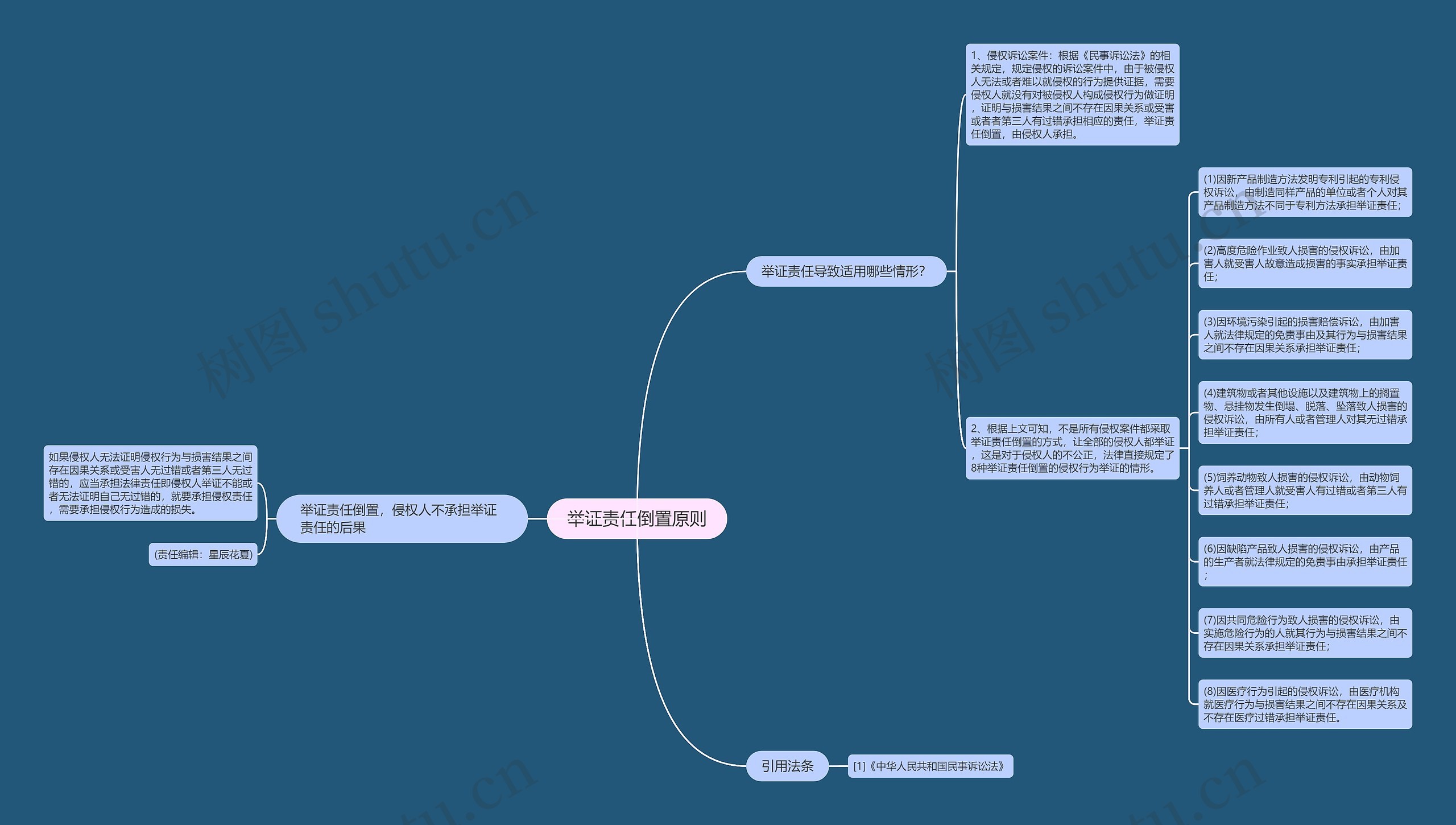 举证责任倒置原则思维导图
