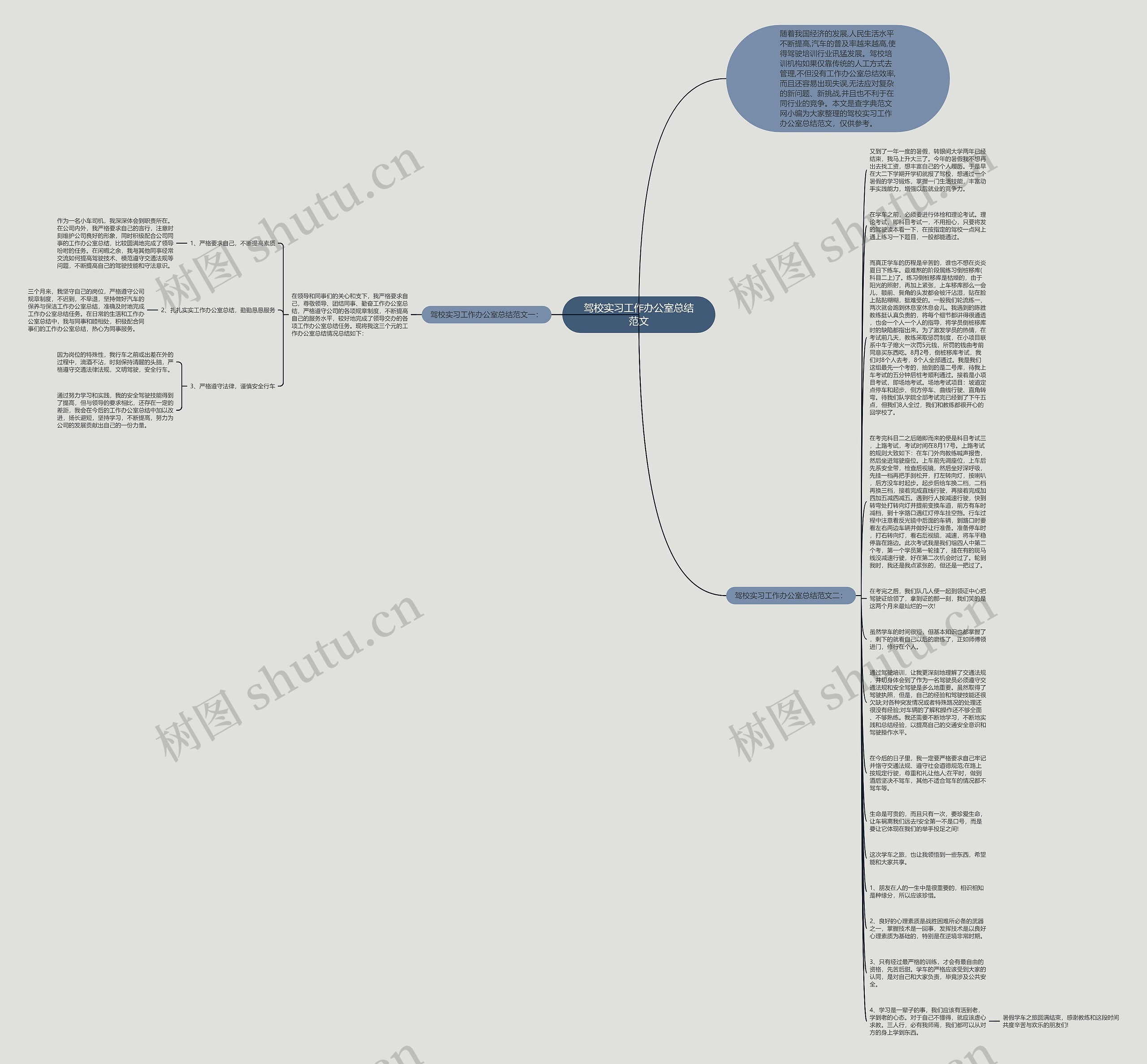 驾校实习工作办公室总结范文思维导图