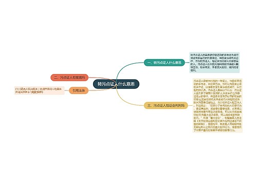 转污点证人什么意思