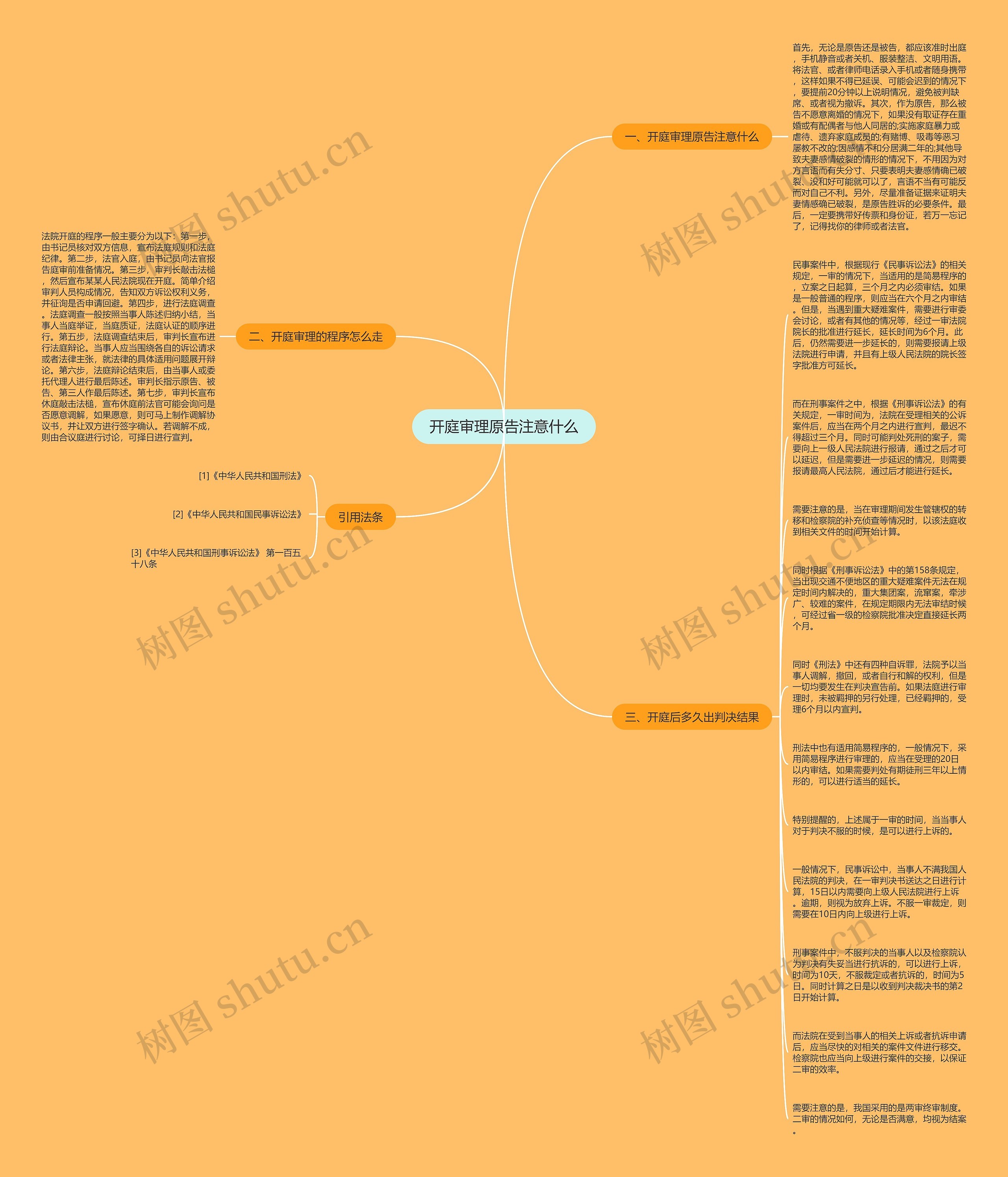 开庭审理原告注意什么思维导图