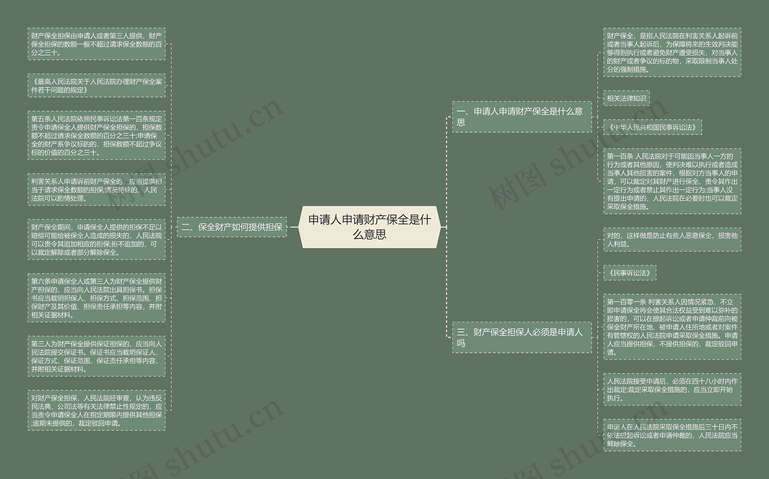 申请人申请财产保全是什么意思思维导图