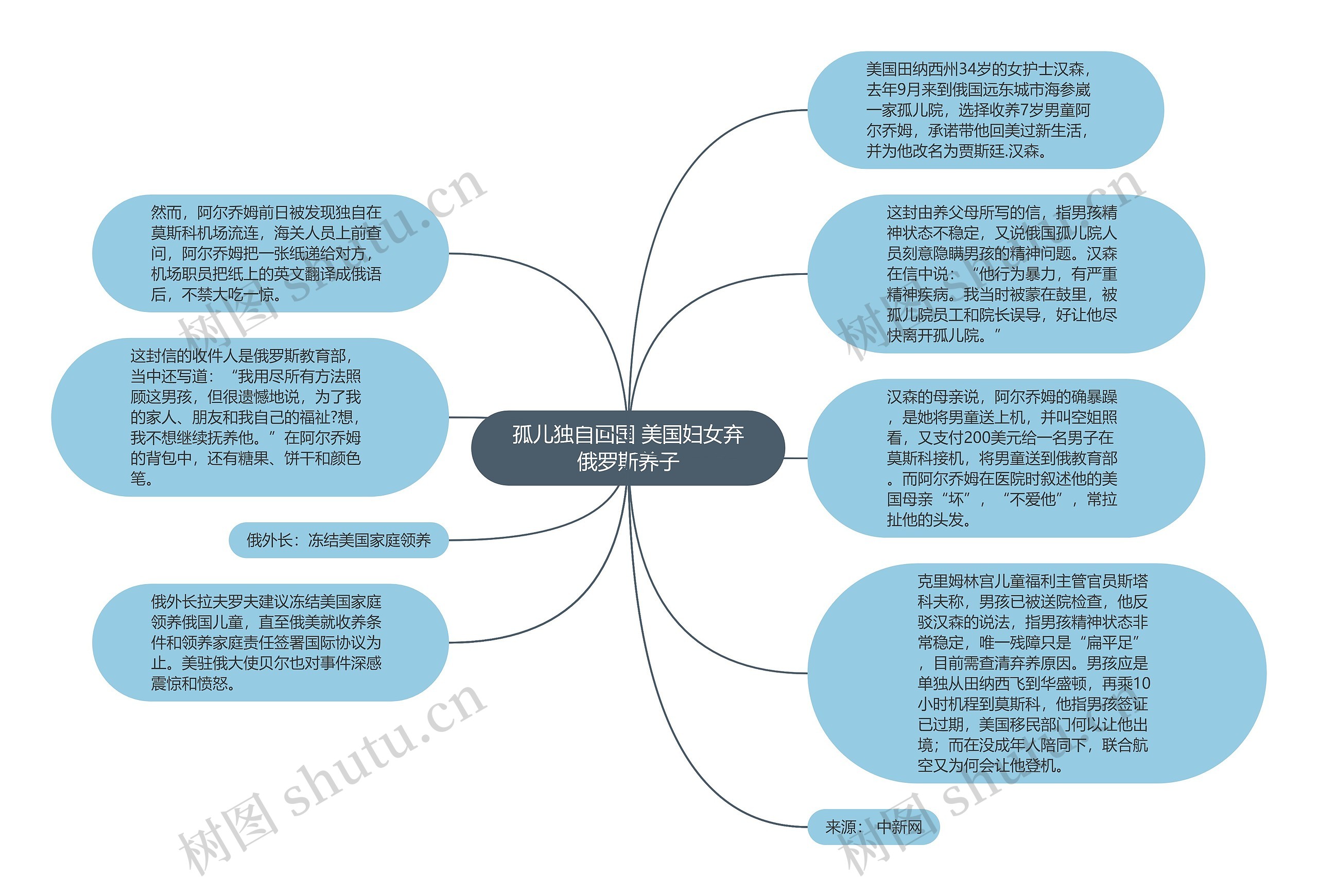 孤儿独自回国 美国妇女弃俄罗斯养子